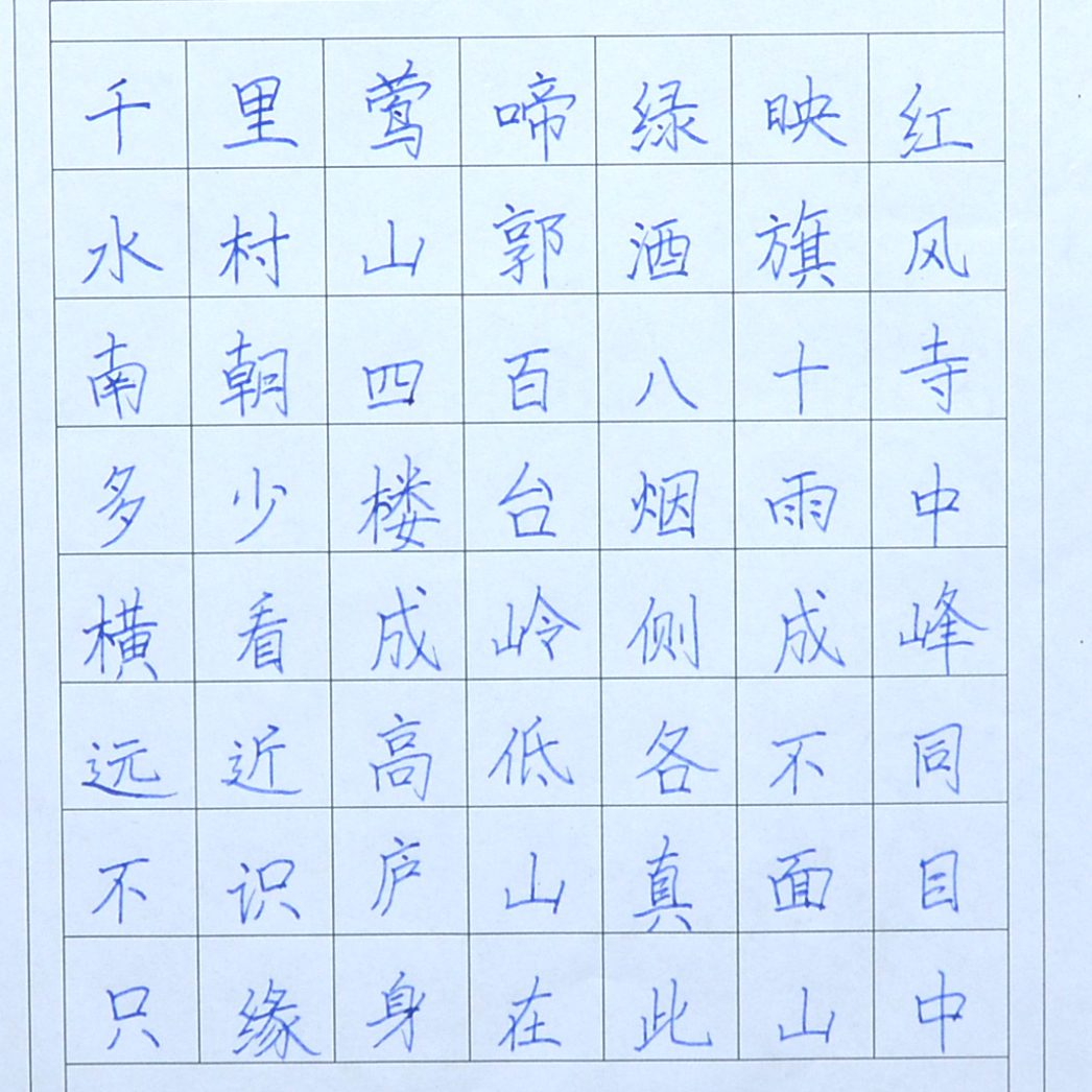 姓名：安淼淼