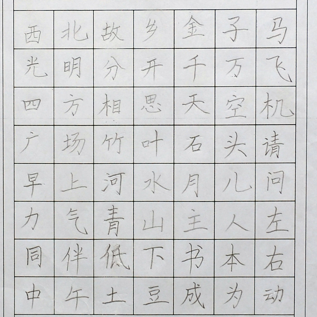 姓名：索嘉晨
