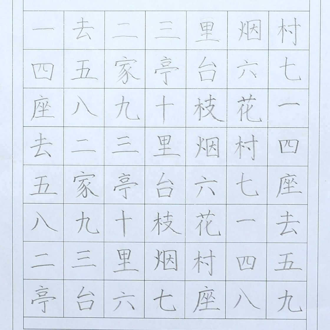 姓名：王一冰