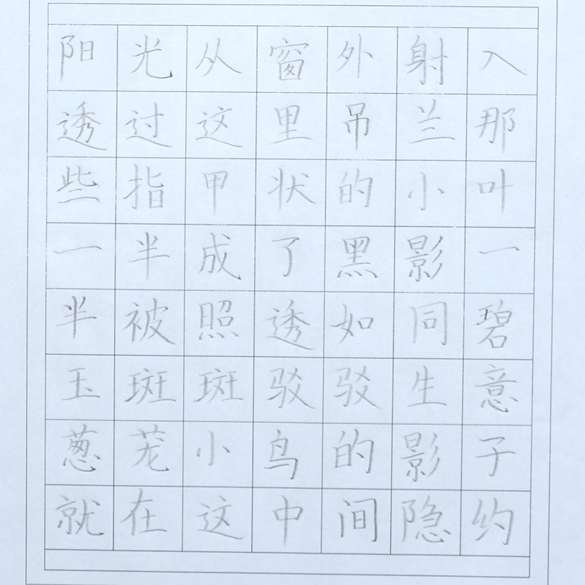姓名：赵若辰