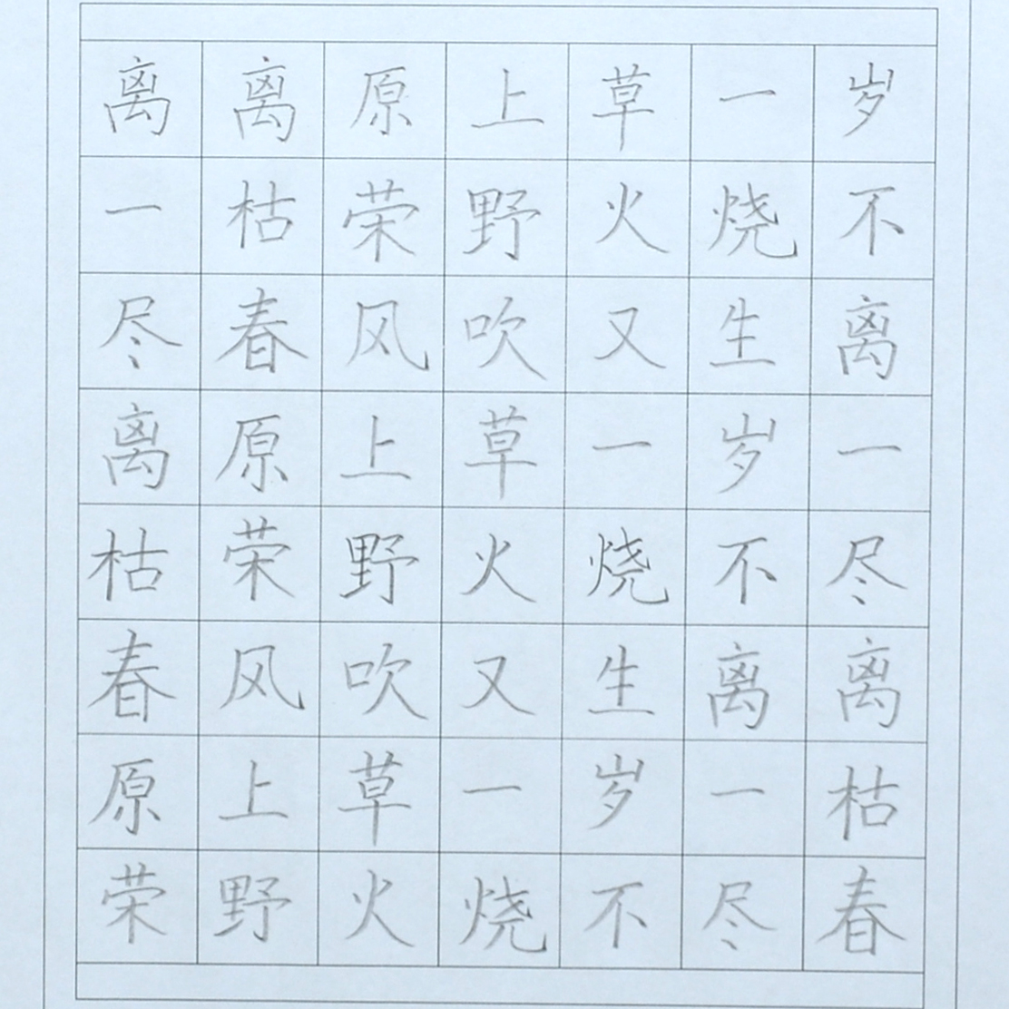 姓名：薛茗泽
