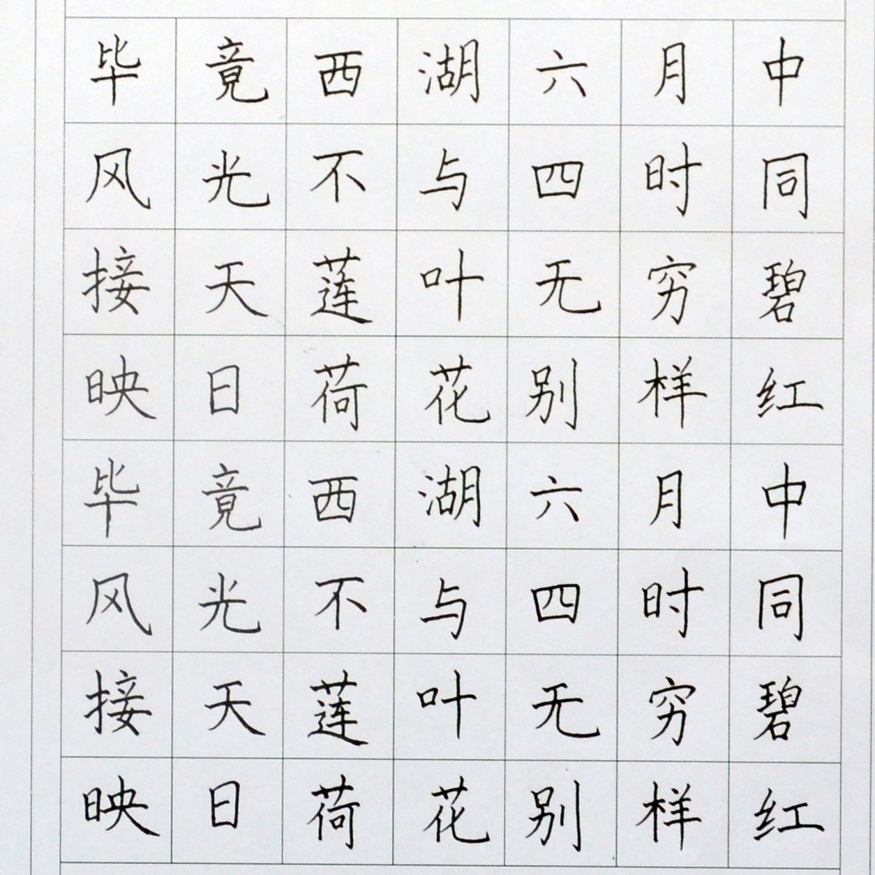 姓名：王璐