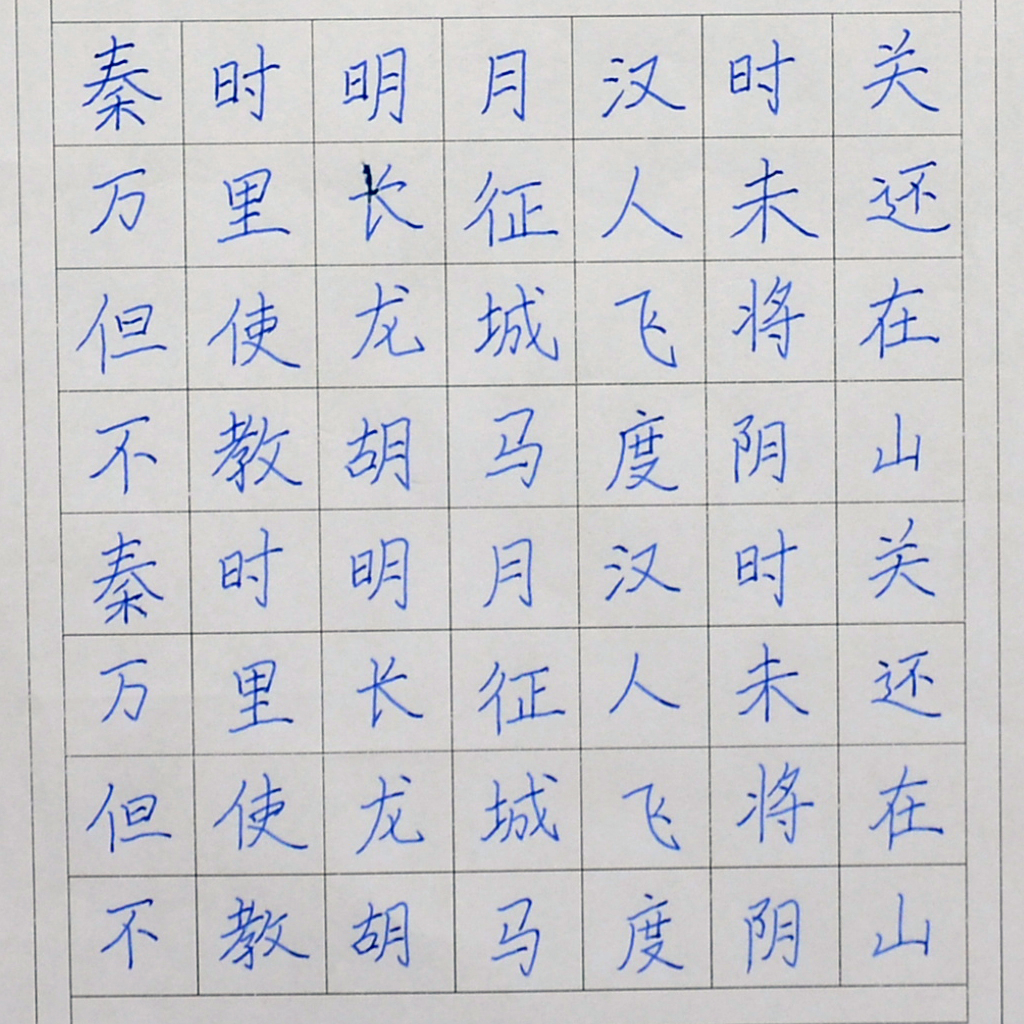 姓名：刘晨旭