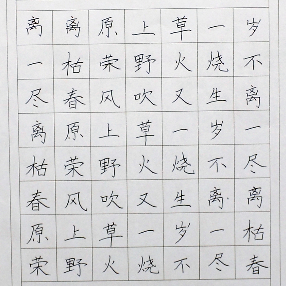 姓名：陈欣楠