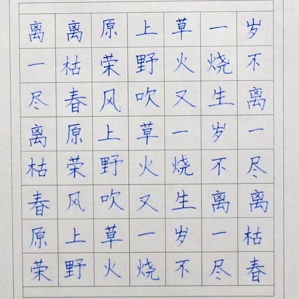 姓名：马梓涵