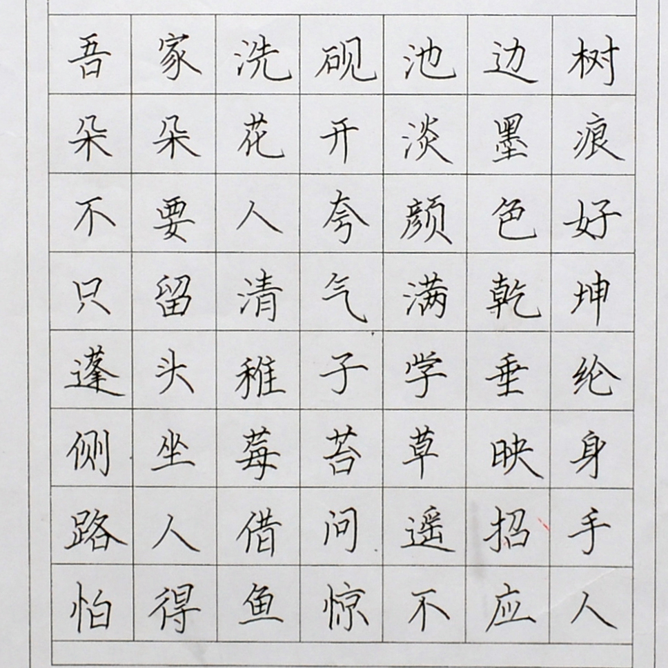 姓名：徐子茜