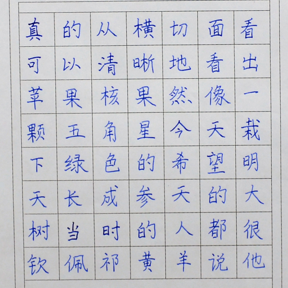 姓名：刘畅畅 