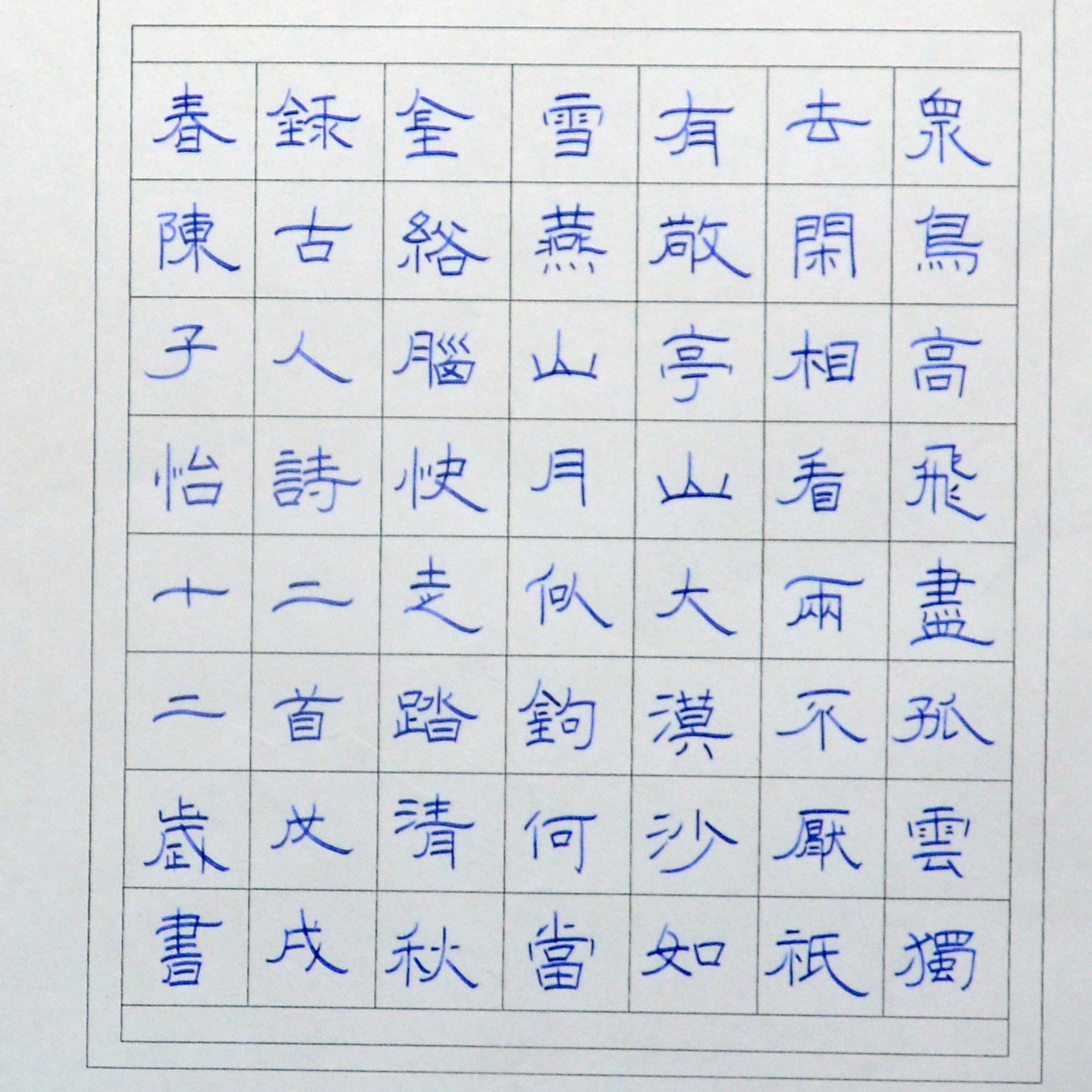 姓名：陈子怡