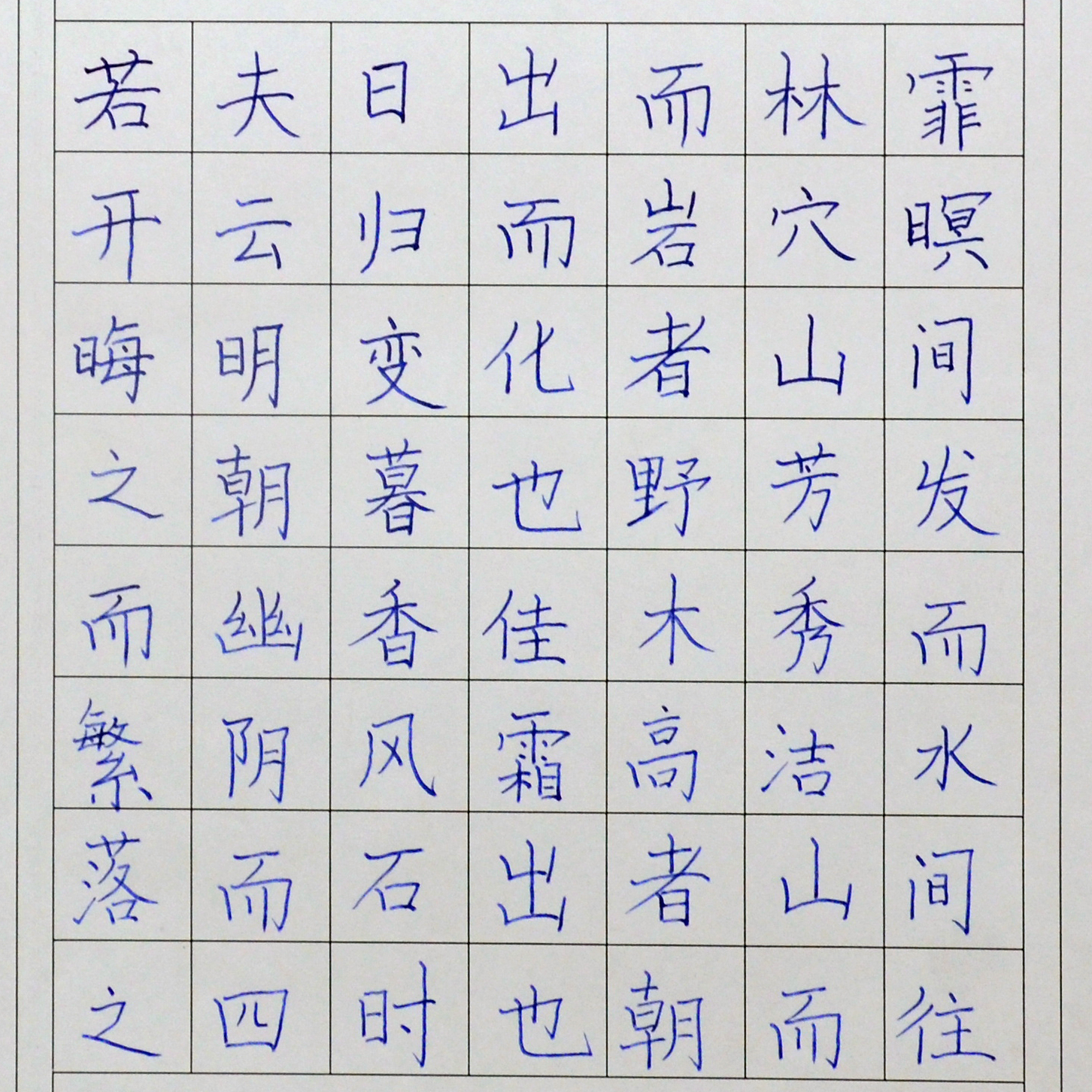 姓名：刘子乐