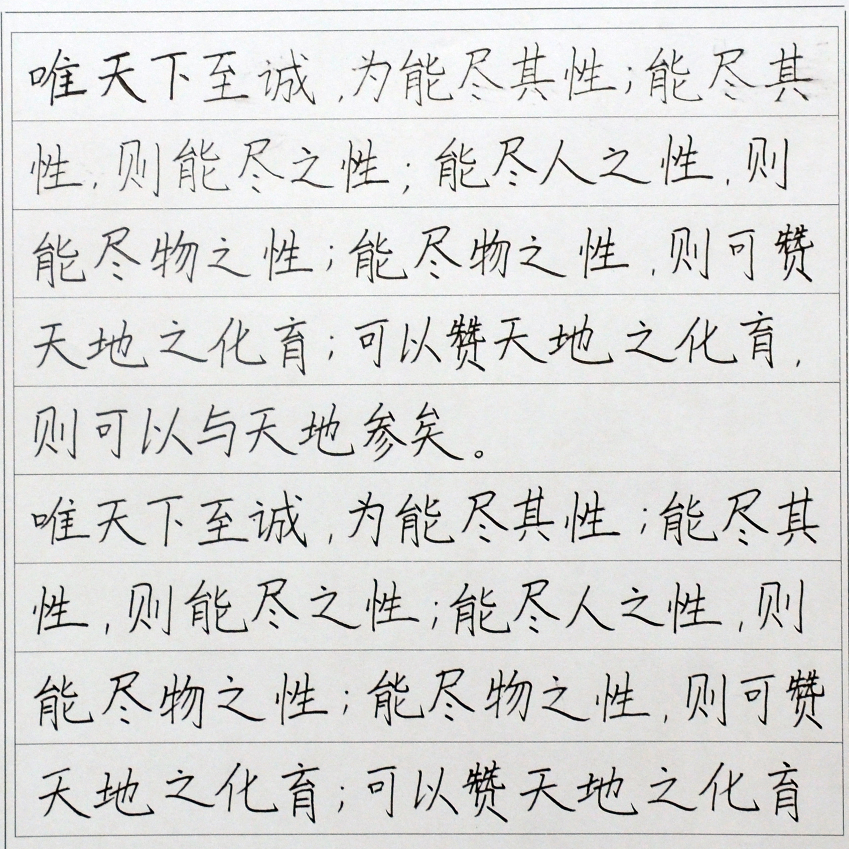 姓名：周欣彤