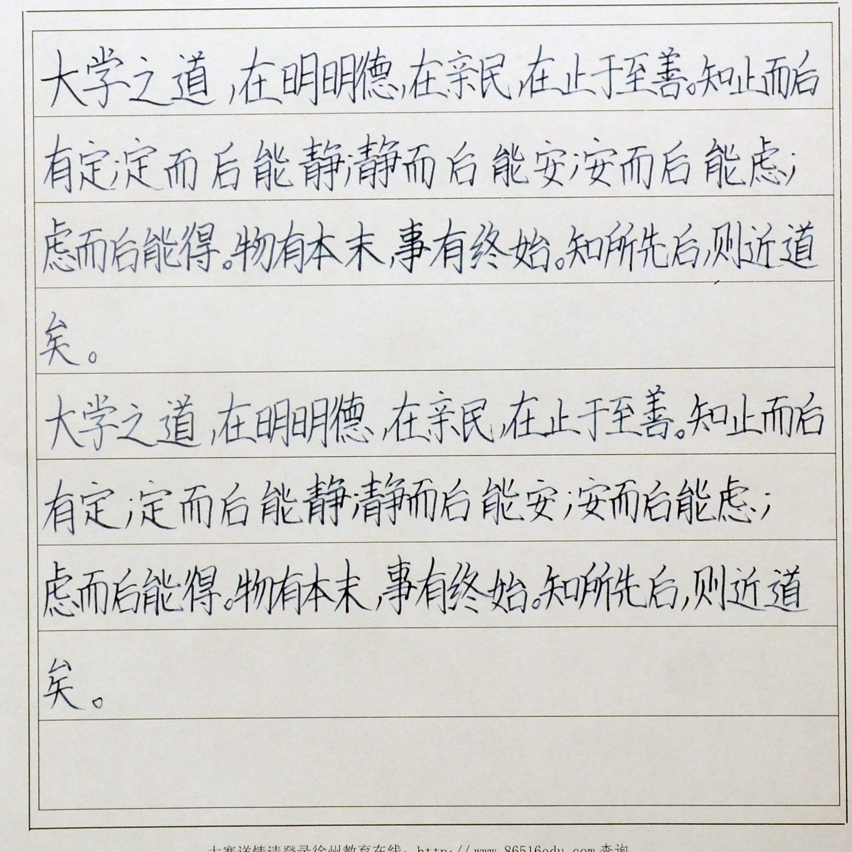 姓名：邵亚茹