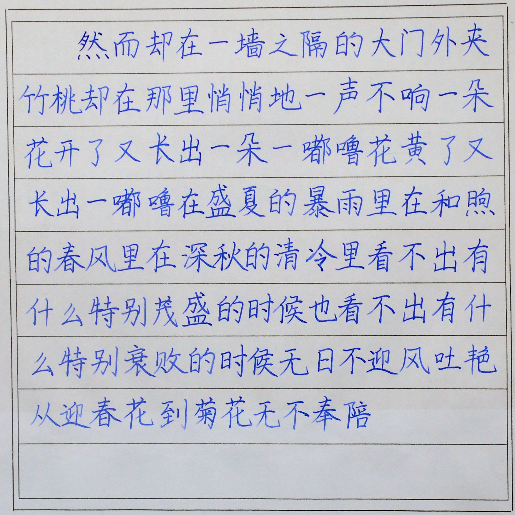 姓名：周乐