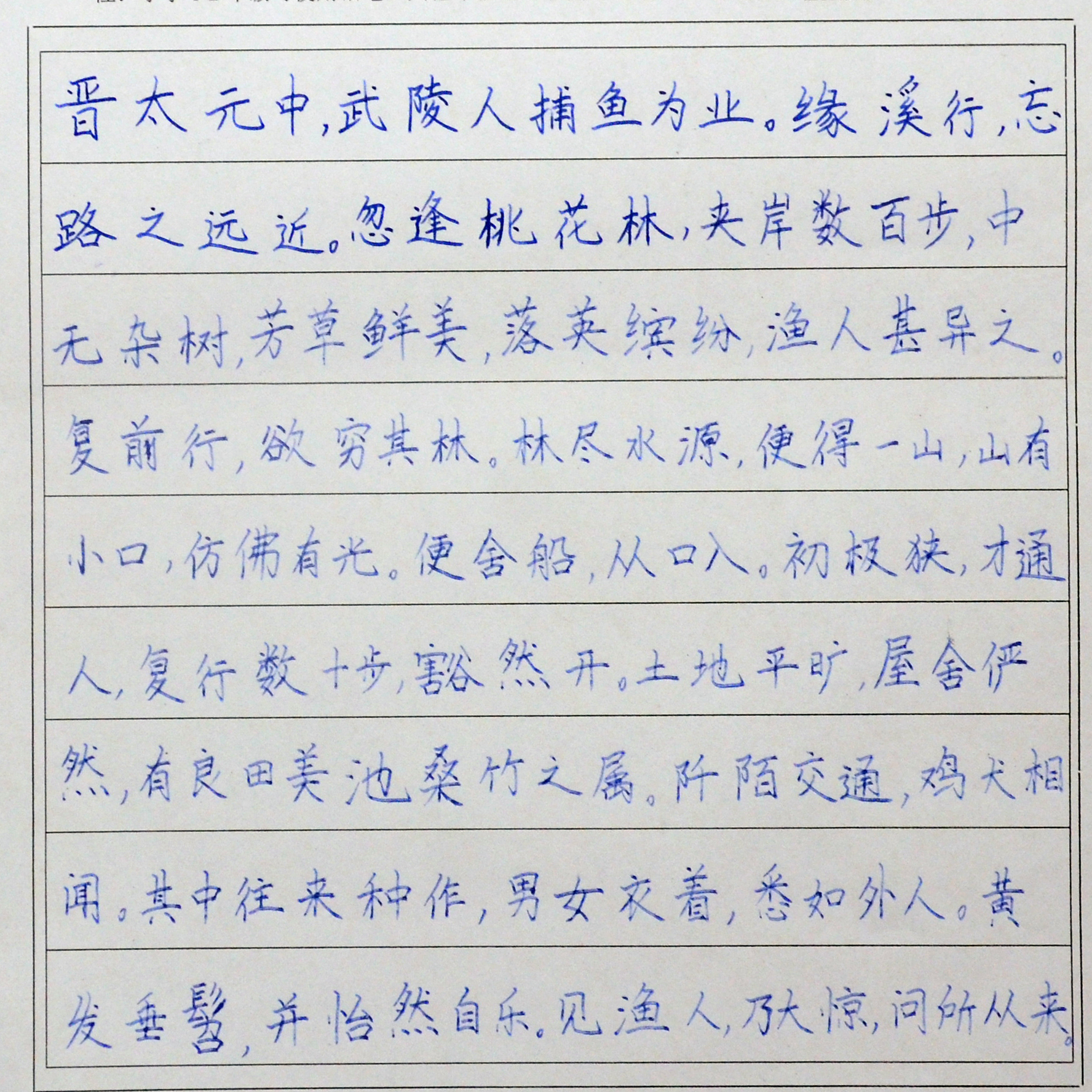 姓名：朱瑶