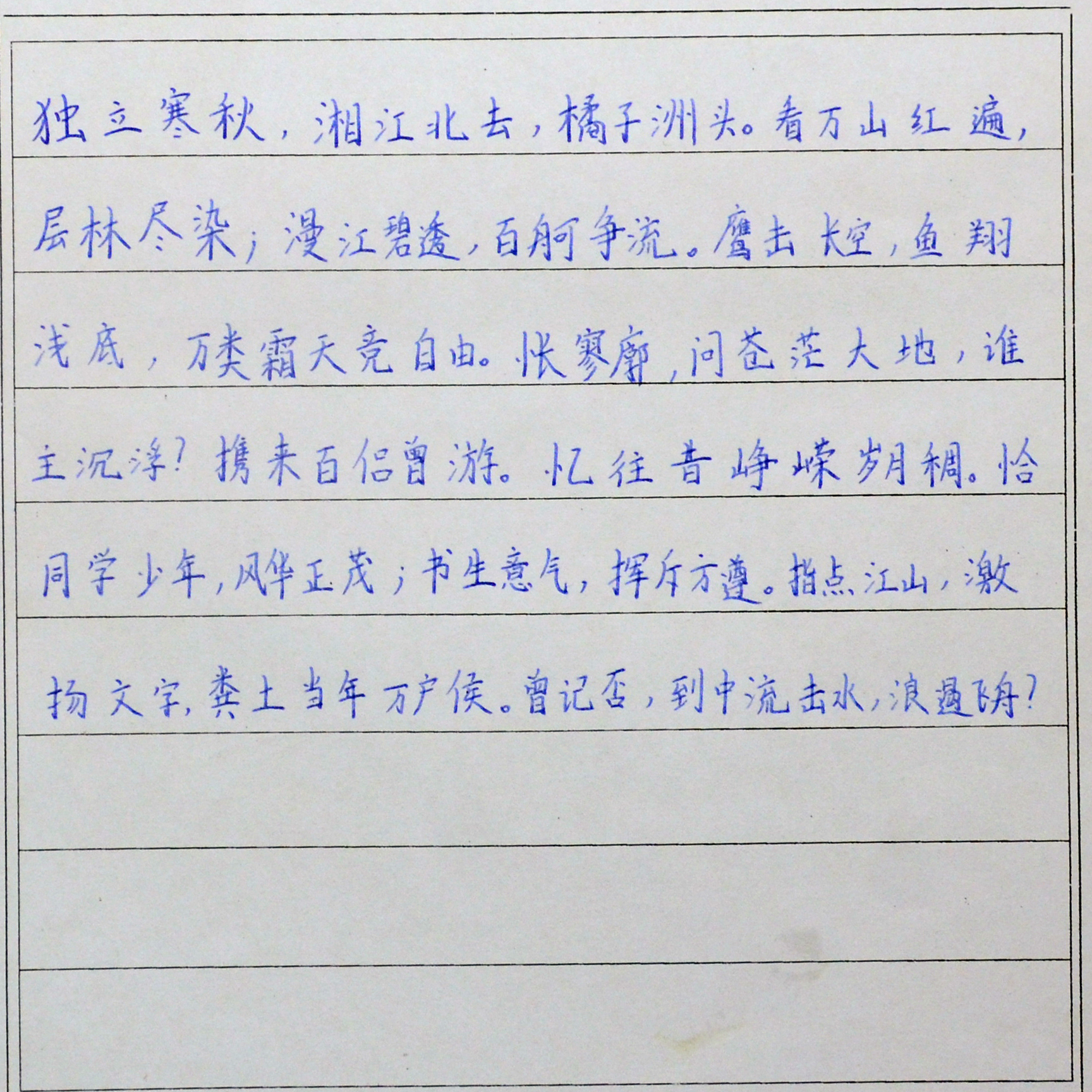 姓名：张媛媛