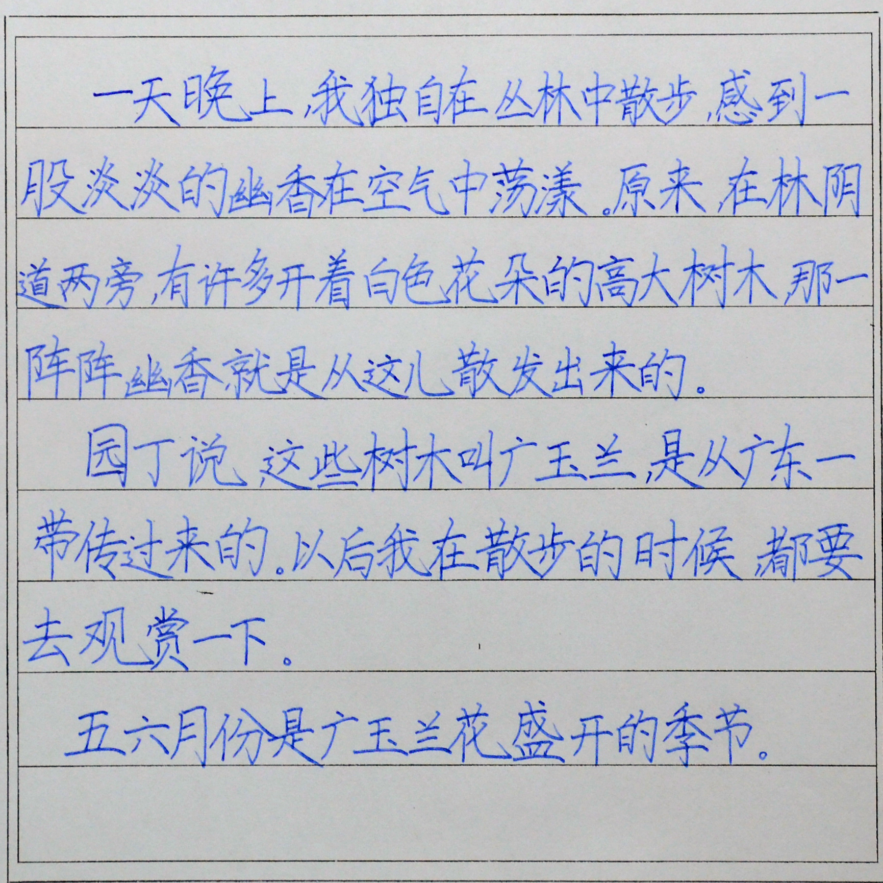 姓名：王莹