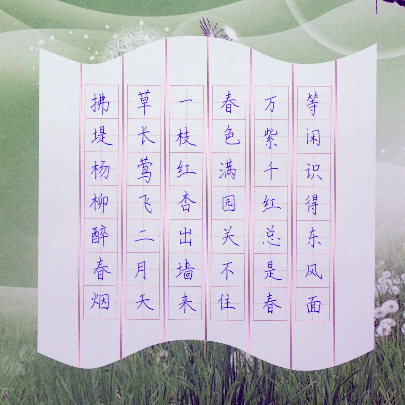 姓名：白淑凡