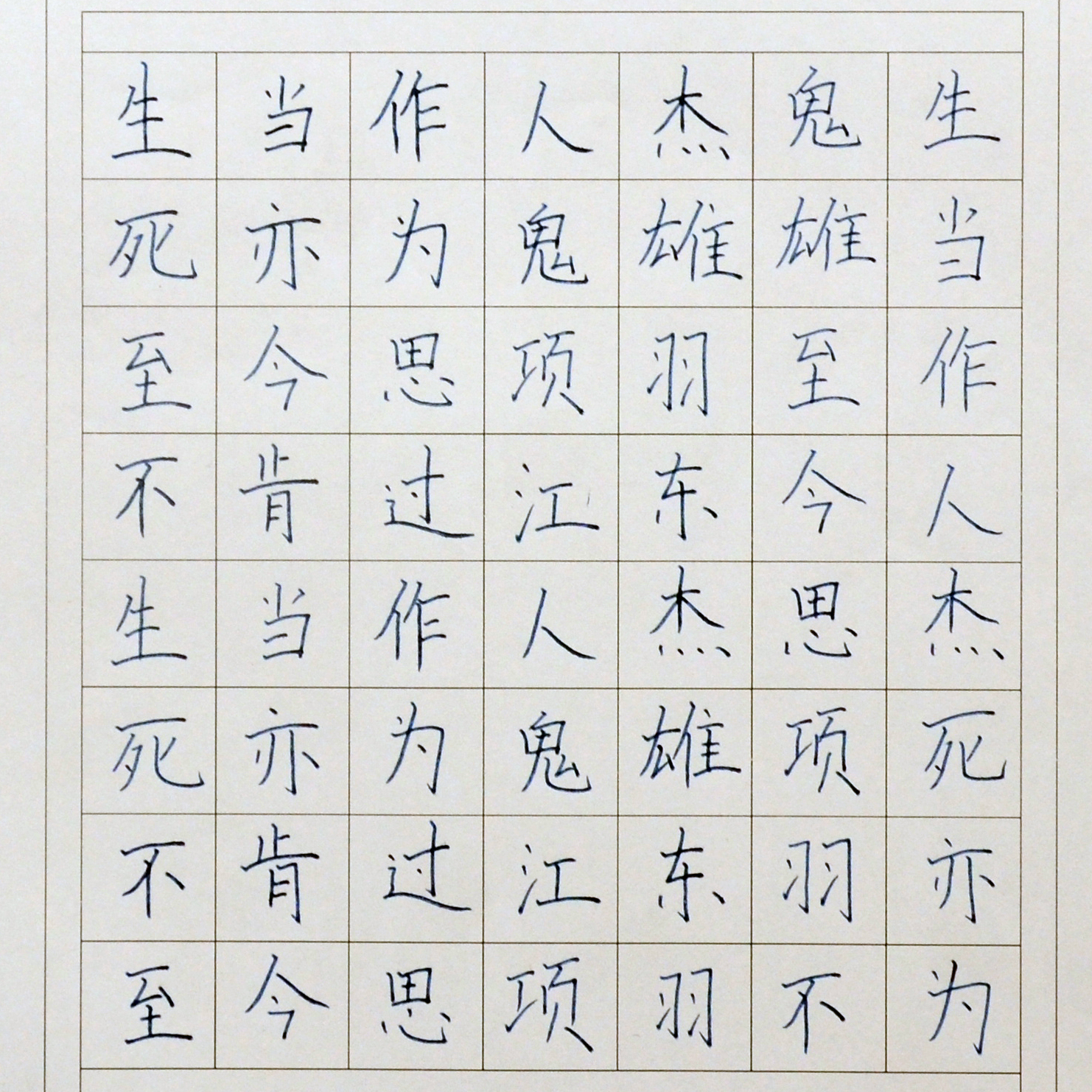 姓名：刘星语