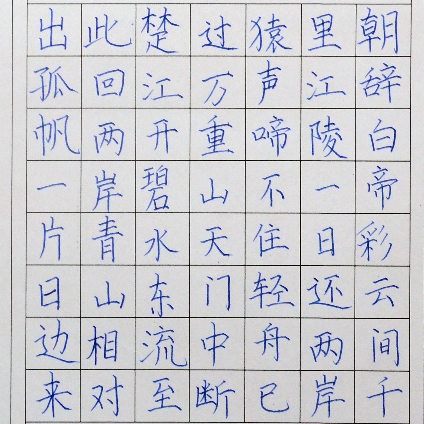 姓名：孙晨曦