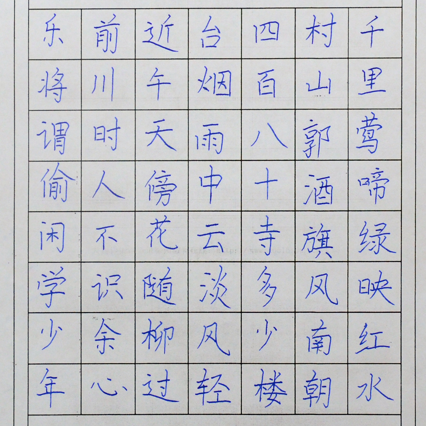 姓名：孙梓瑞