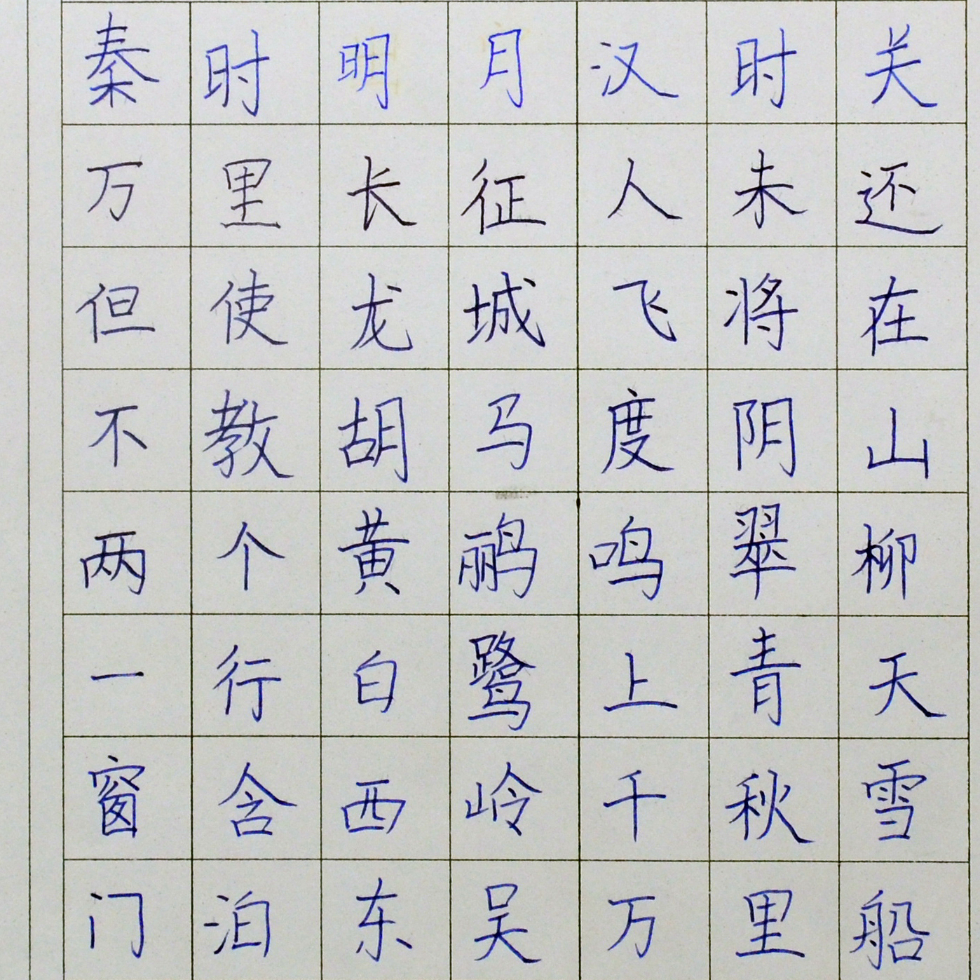姓名：张艺竞