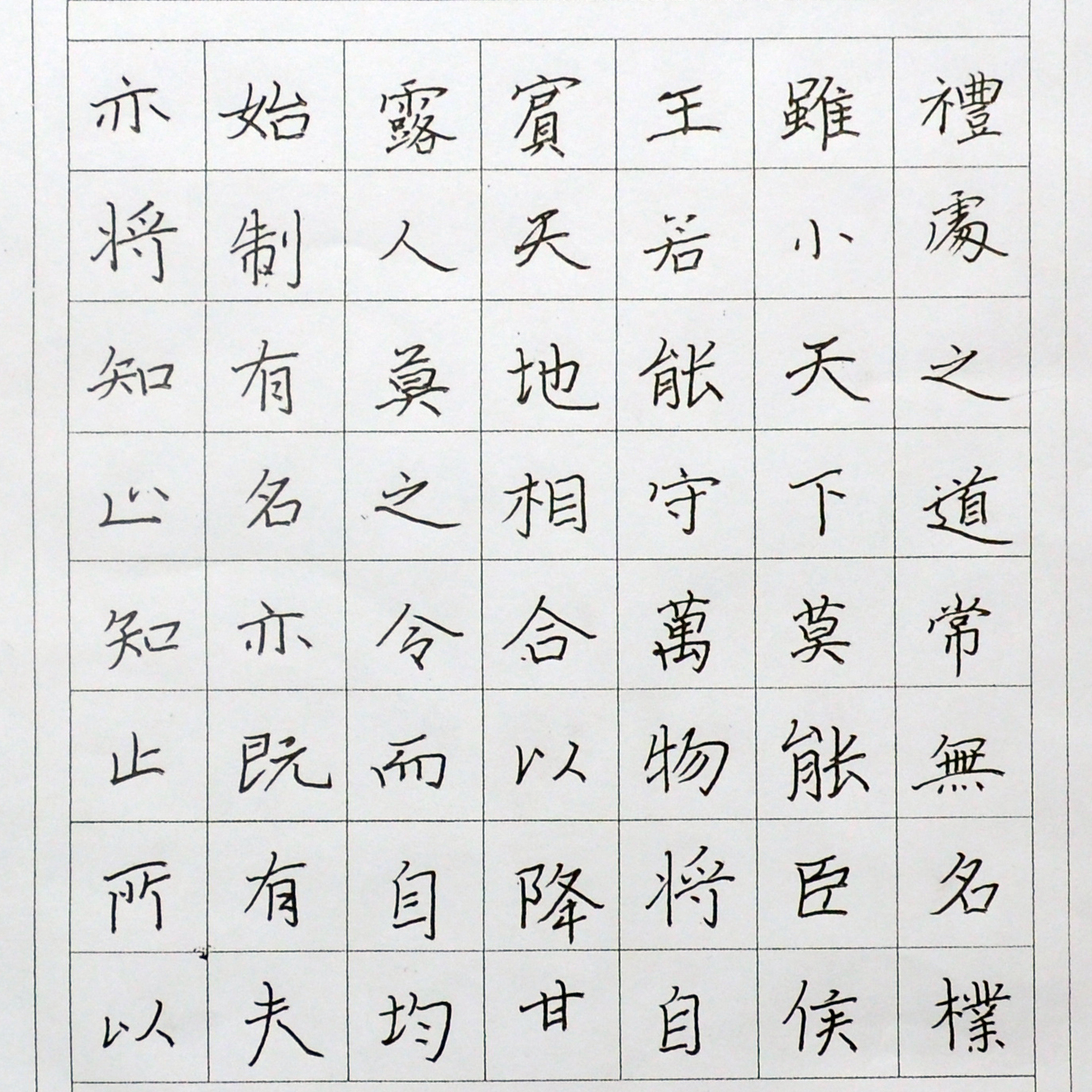 姓名：孙言龙