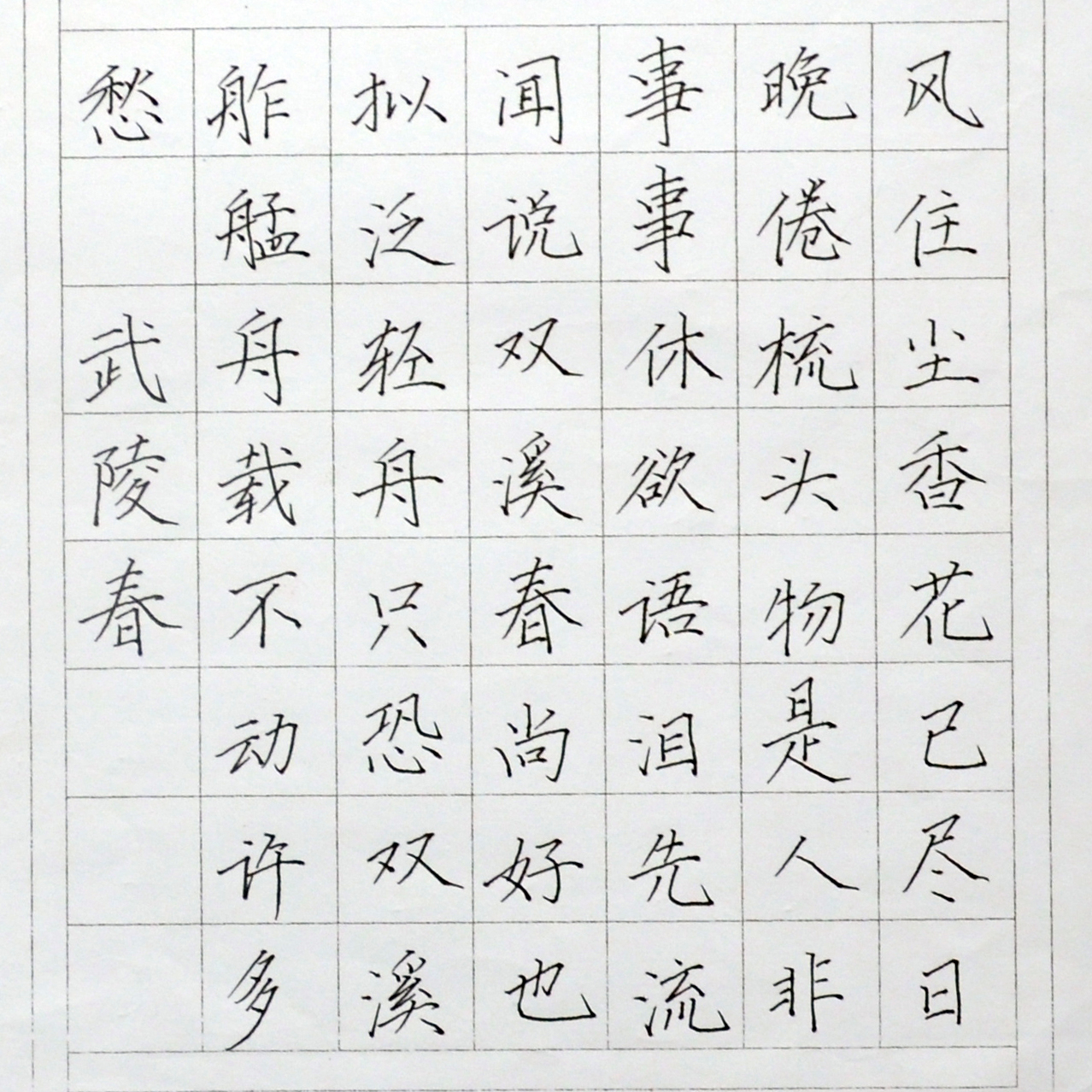 姓名：刘思诺