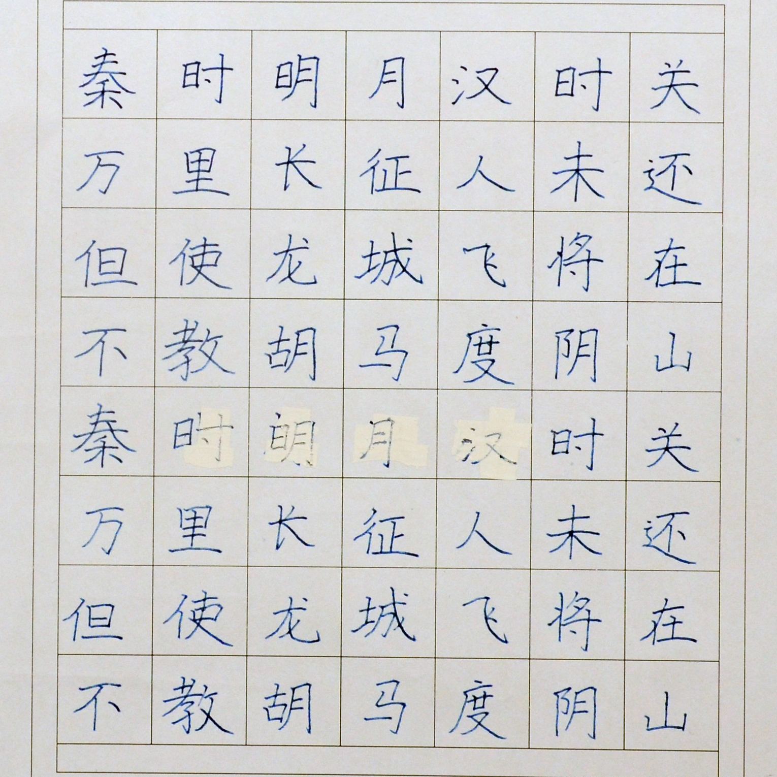 姓名：徐泽雅