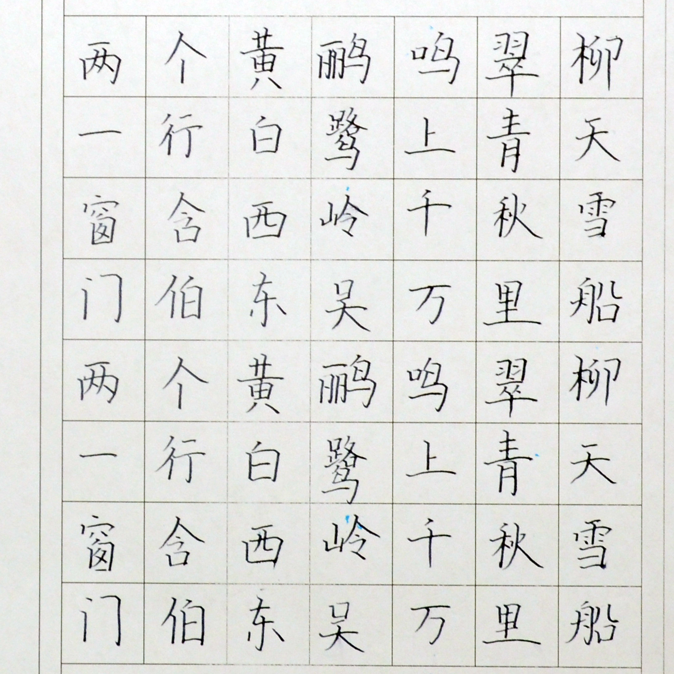 姓名：田竣宇