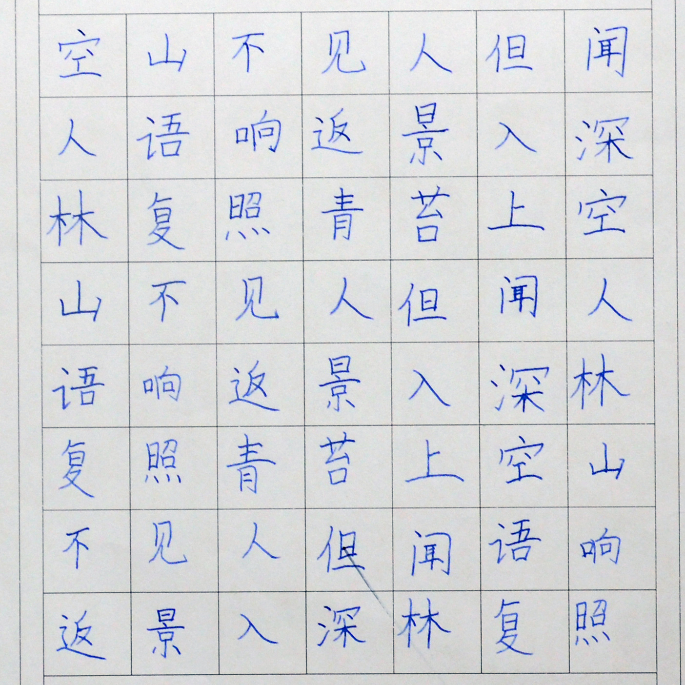 姓名：迟欣桐