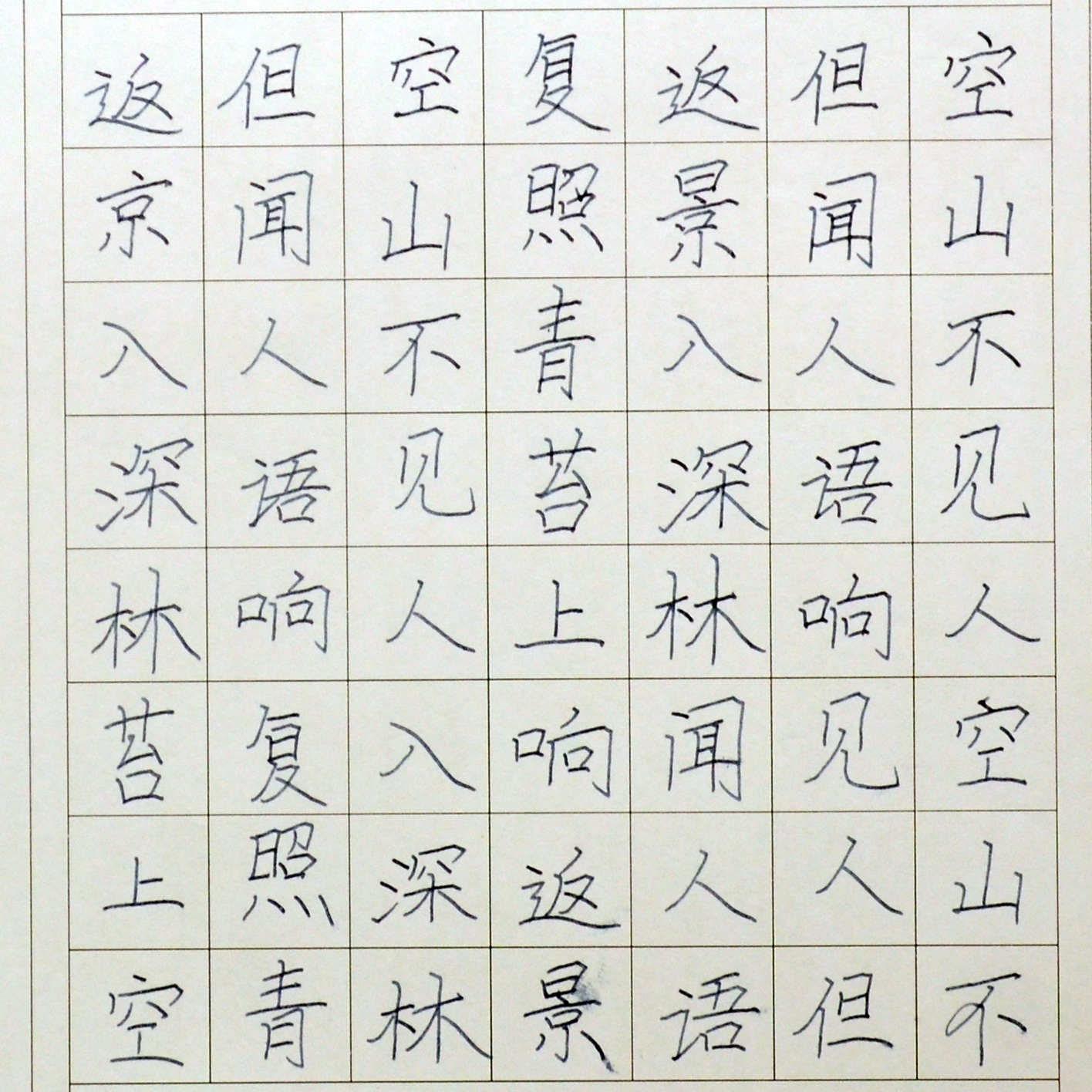 姓名：袁鑫垒