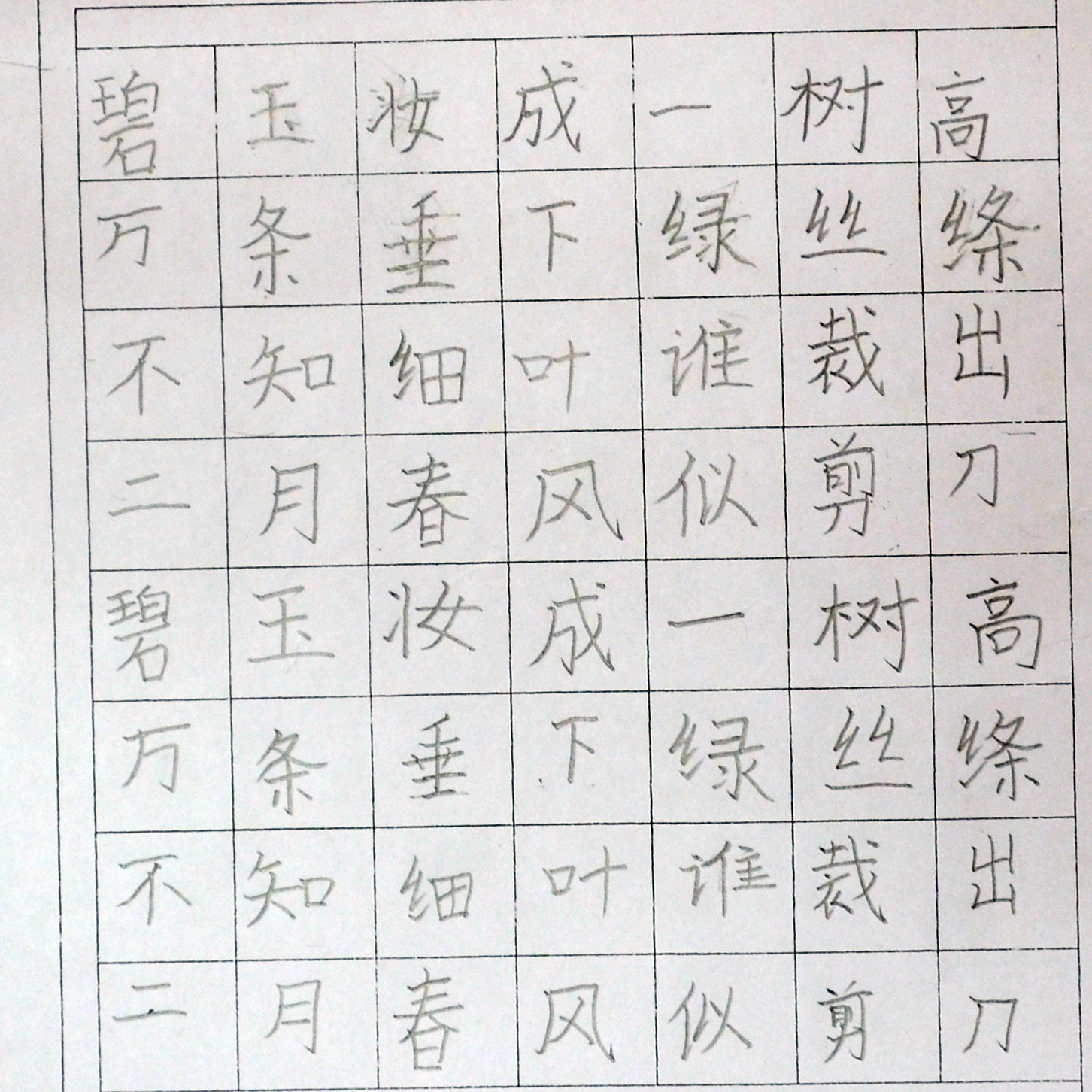姓名：张桐瑾