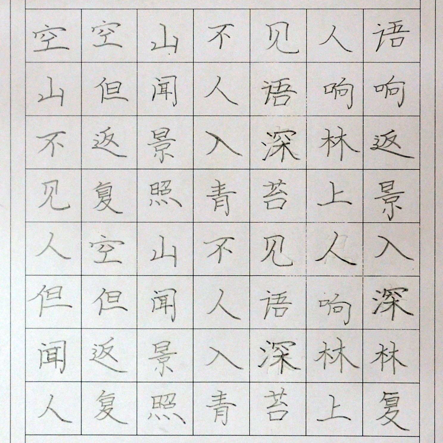姓名：赵壹嘉