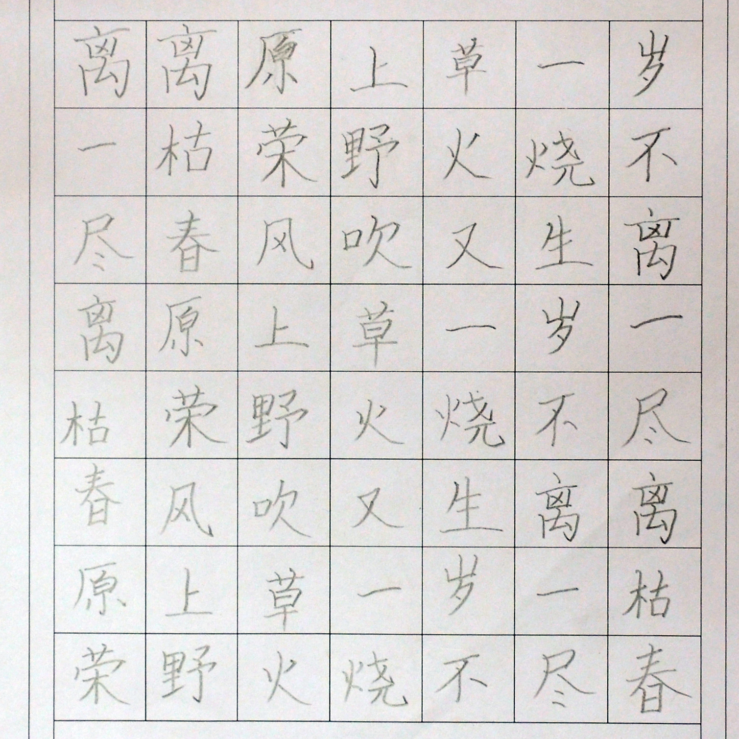 姓名：夏梓豪