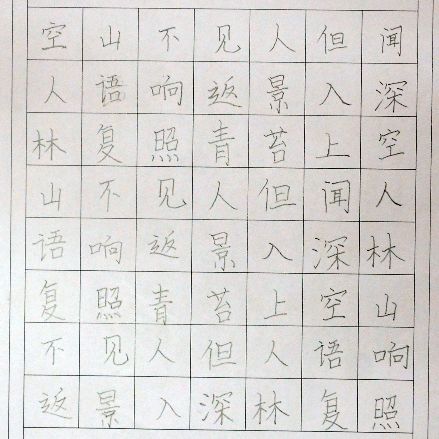 姓名：薛淞露