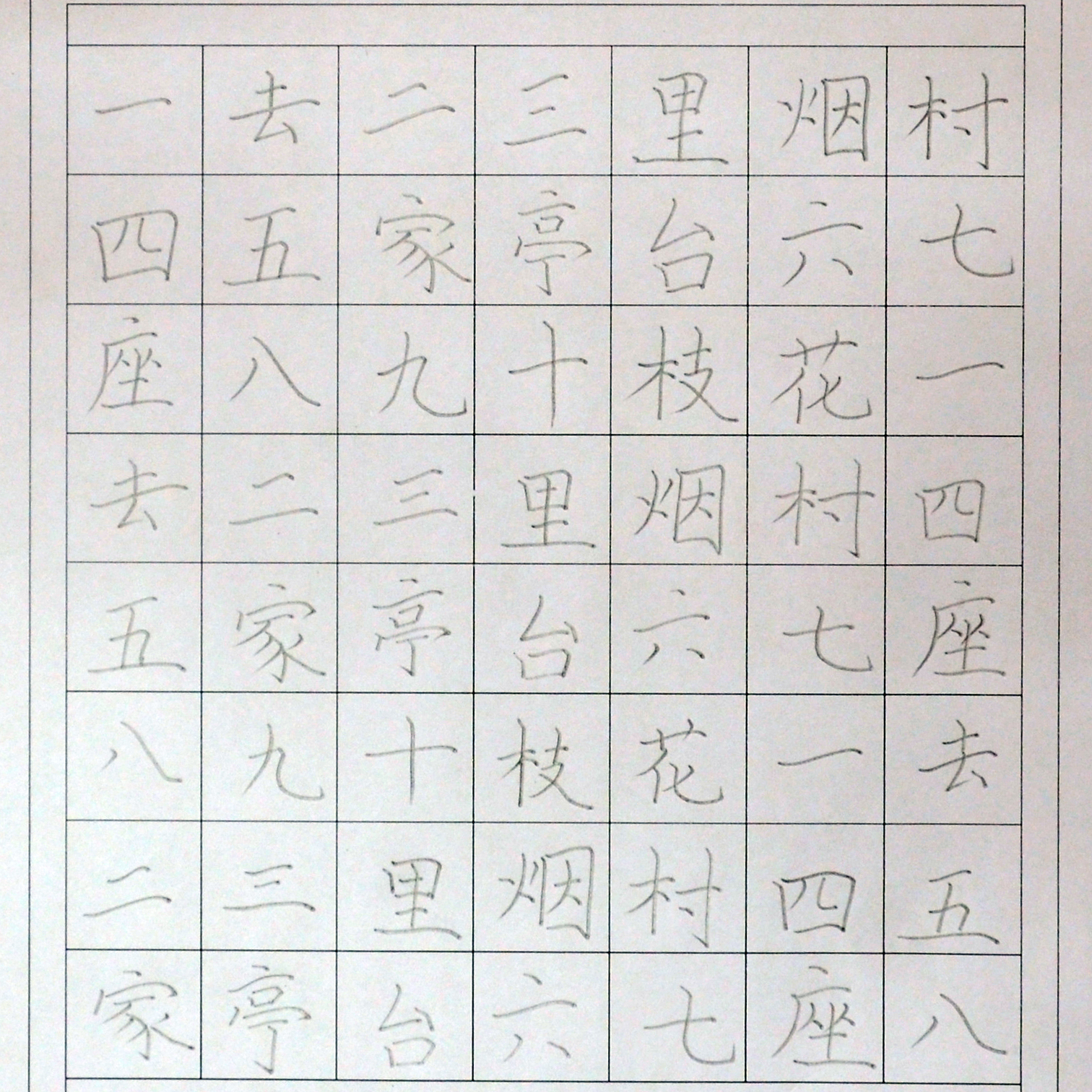 姓名：翟紫