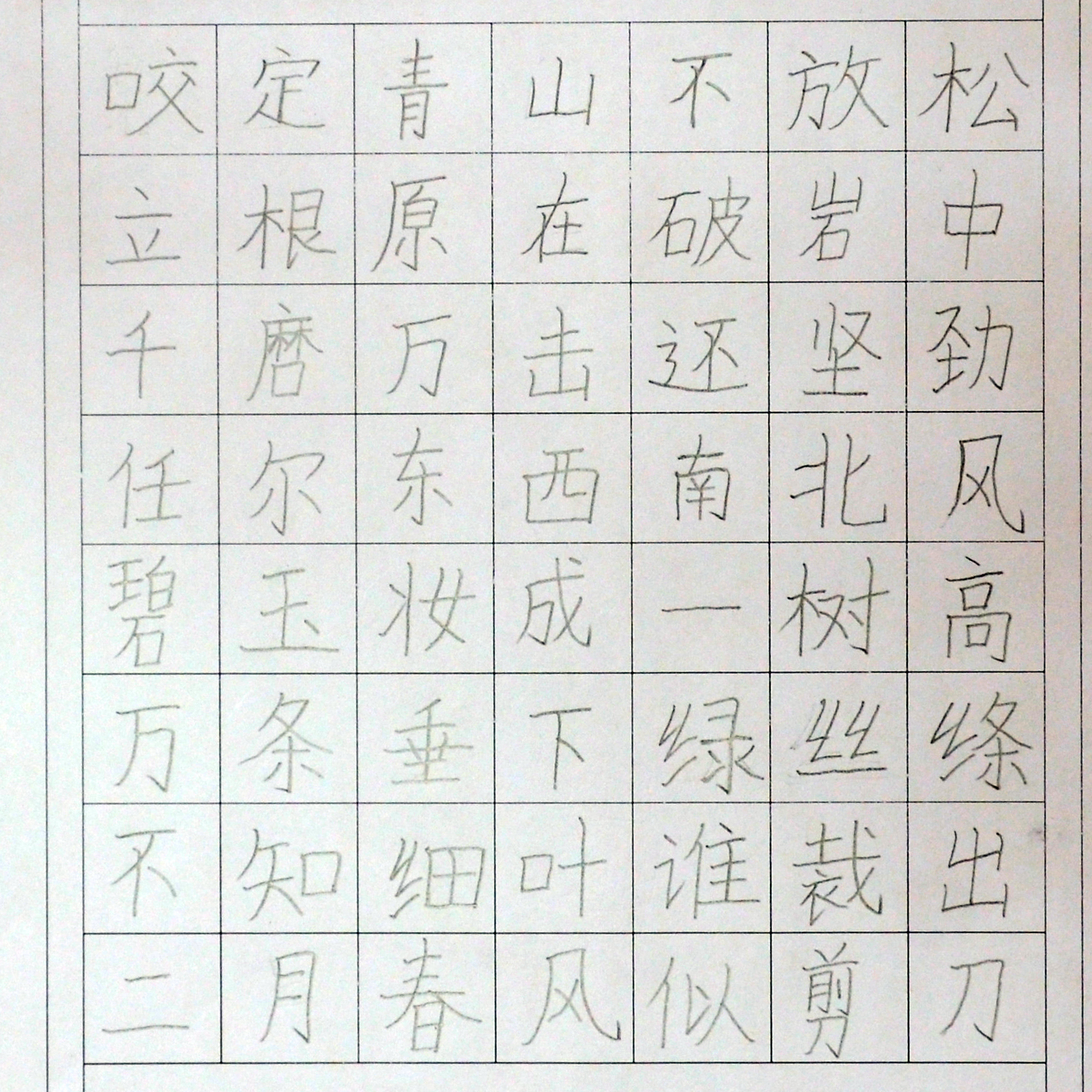 姓名：马梦甜