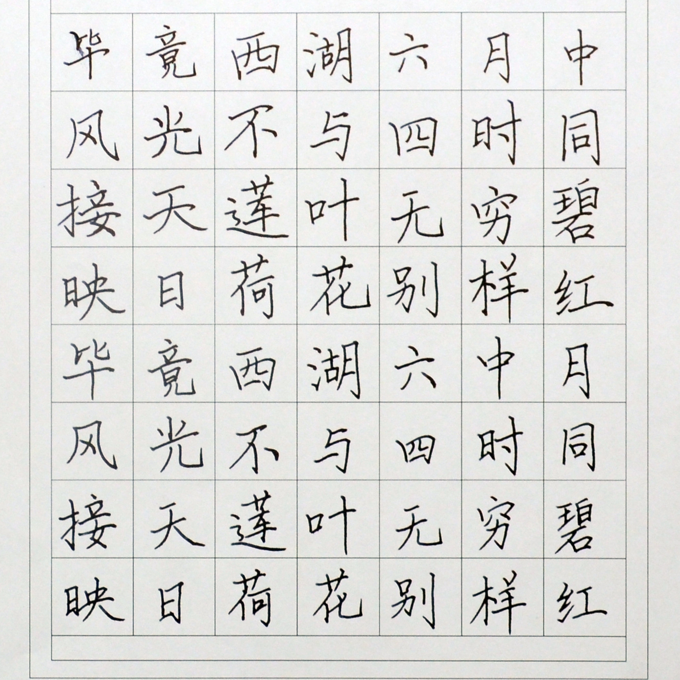 姓名：张露