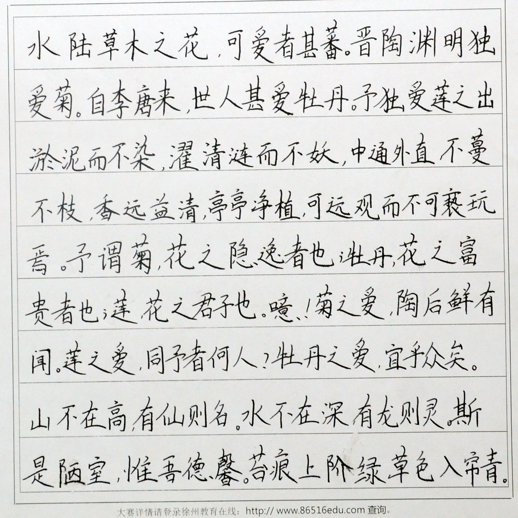 姓名：张舒哲 