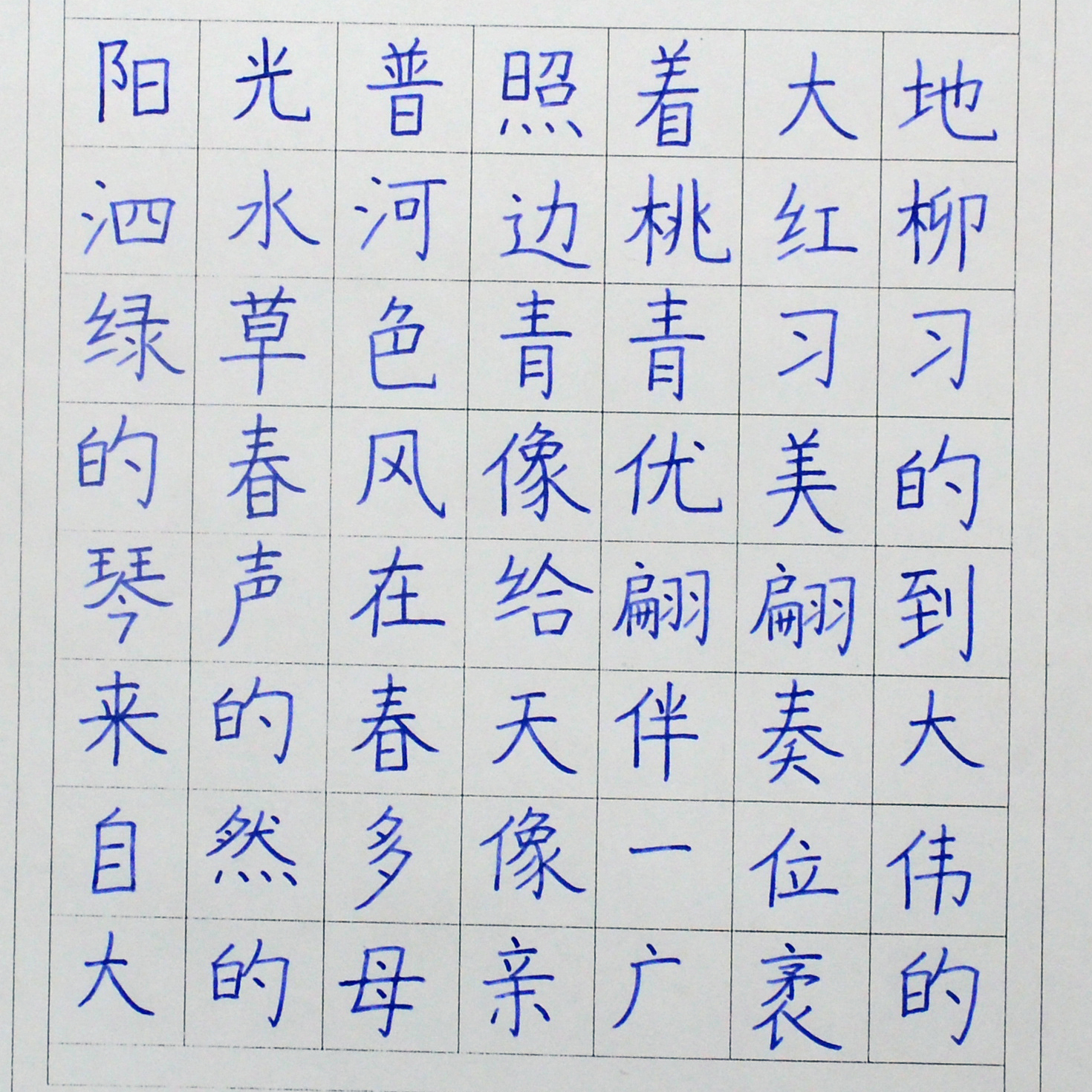 姓名：王岩芝