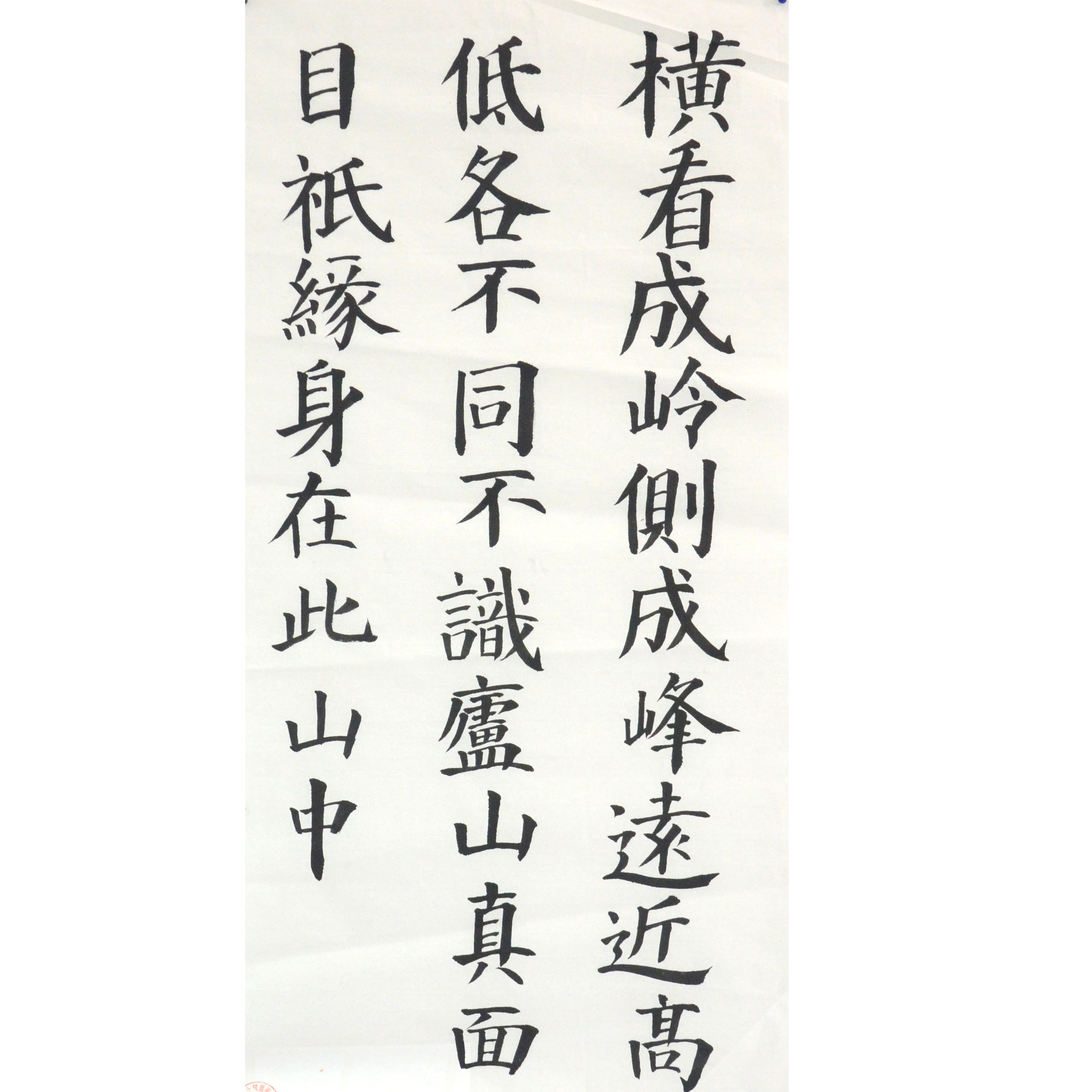 姓名：许星洁