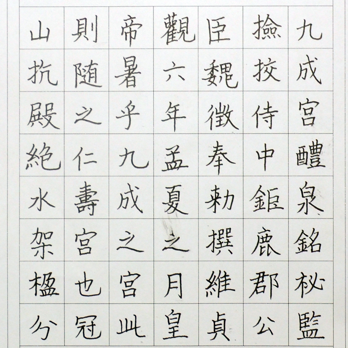 姓名：赵红