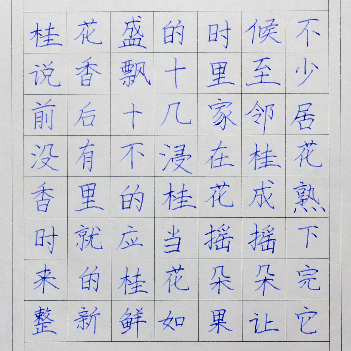 姓名：杨子琛