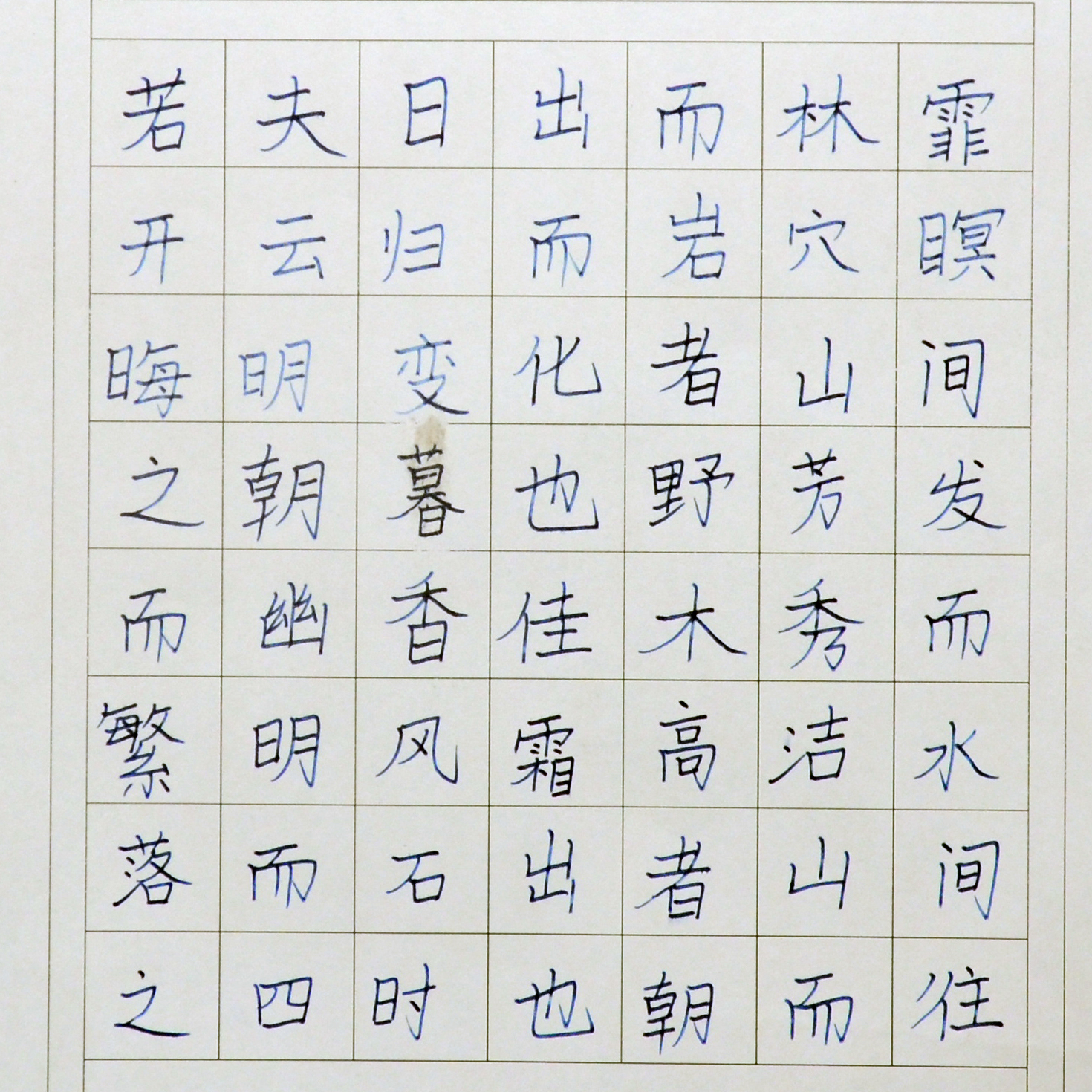姓名：任怡卉