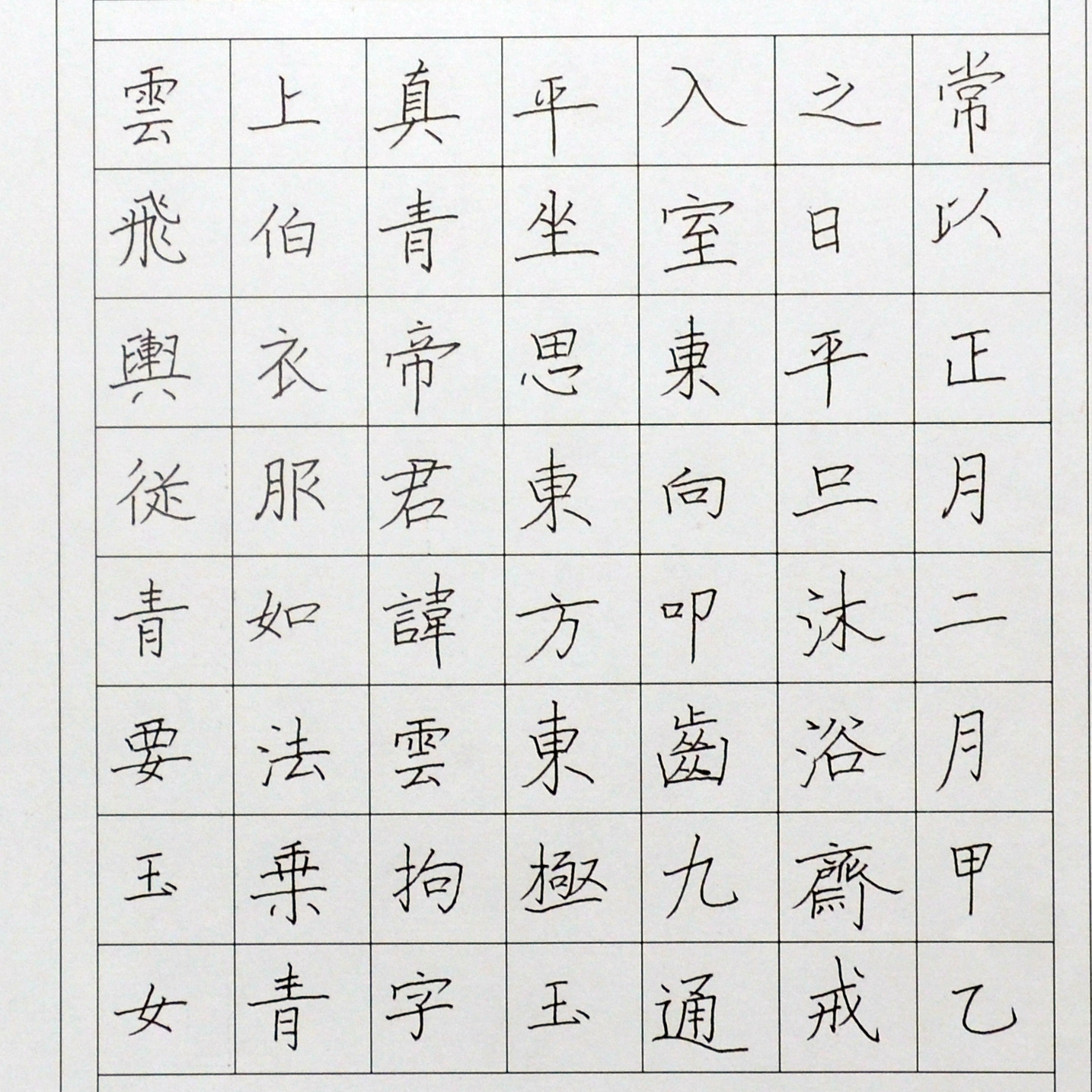 姓名：杨子琪