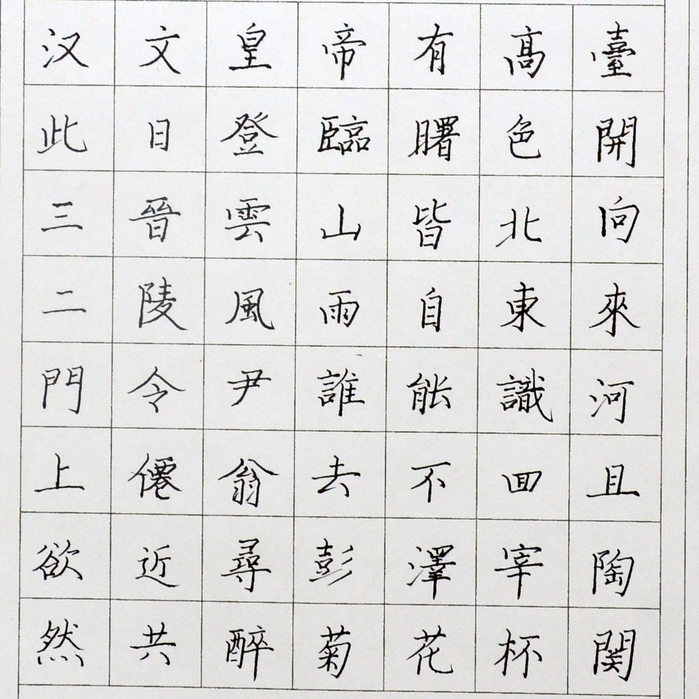 姓名：刘子晨