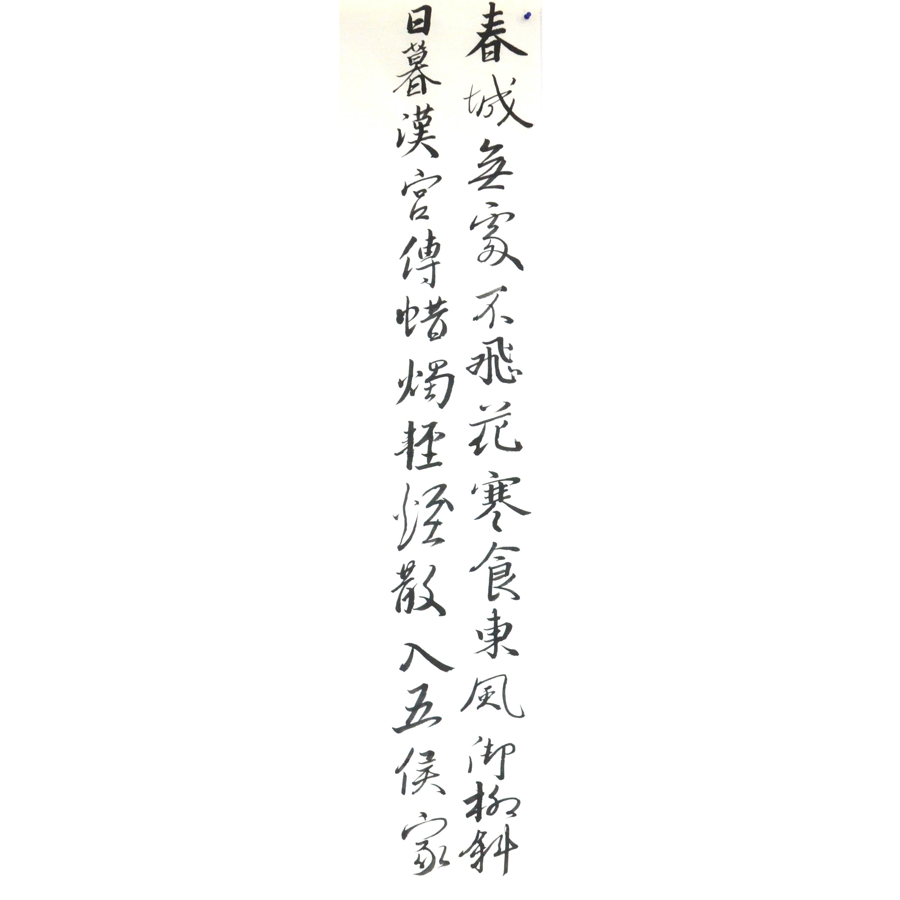 姓名：顾一康