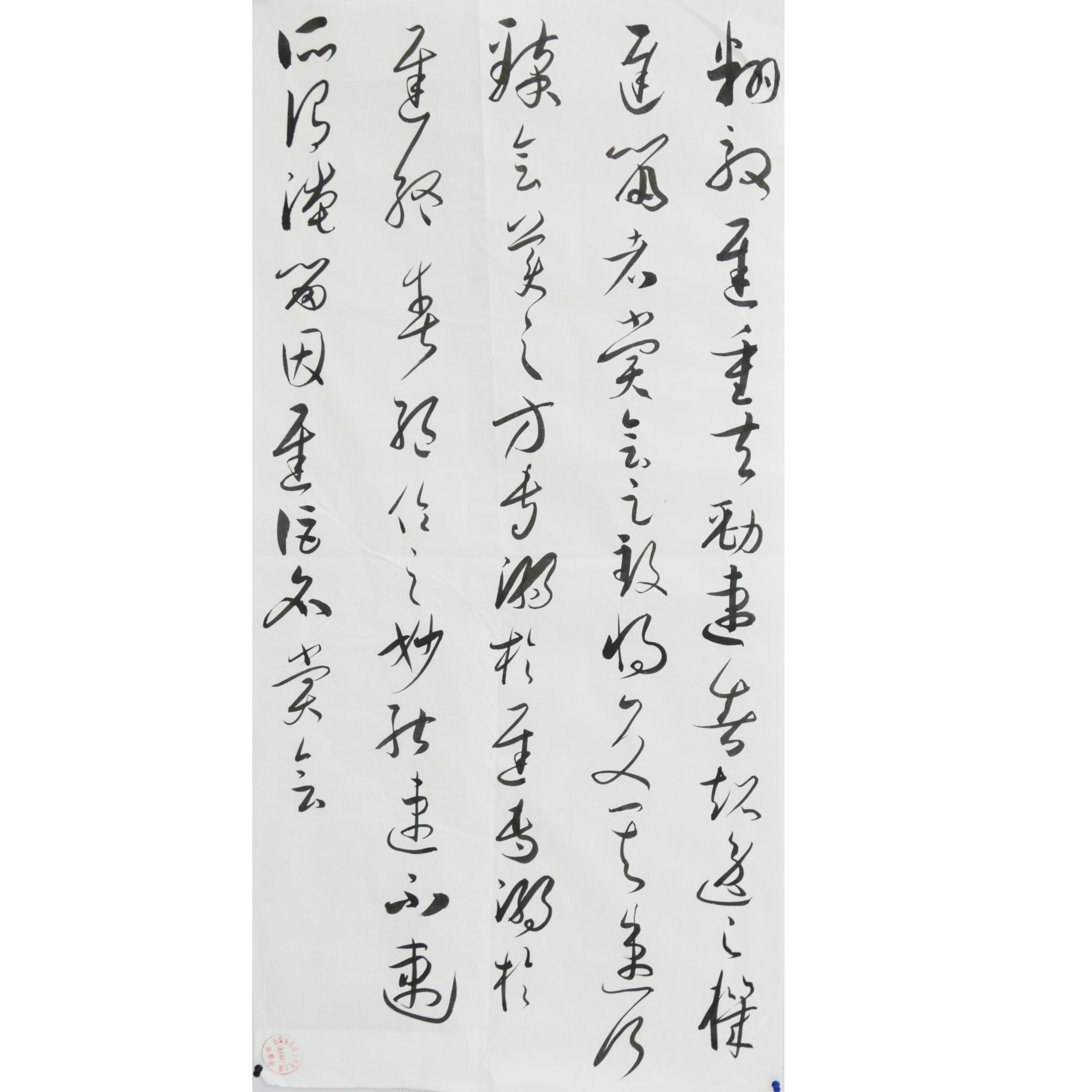 姓名：赵之贤
