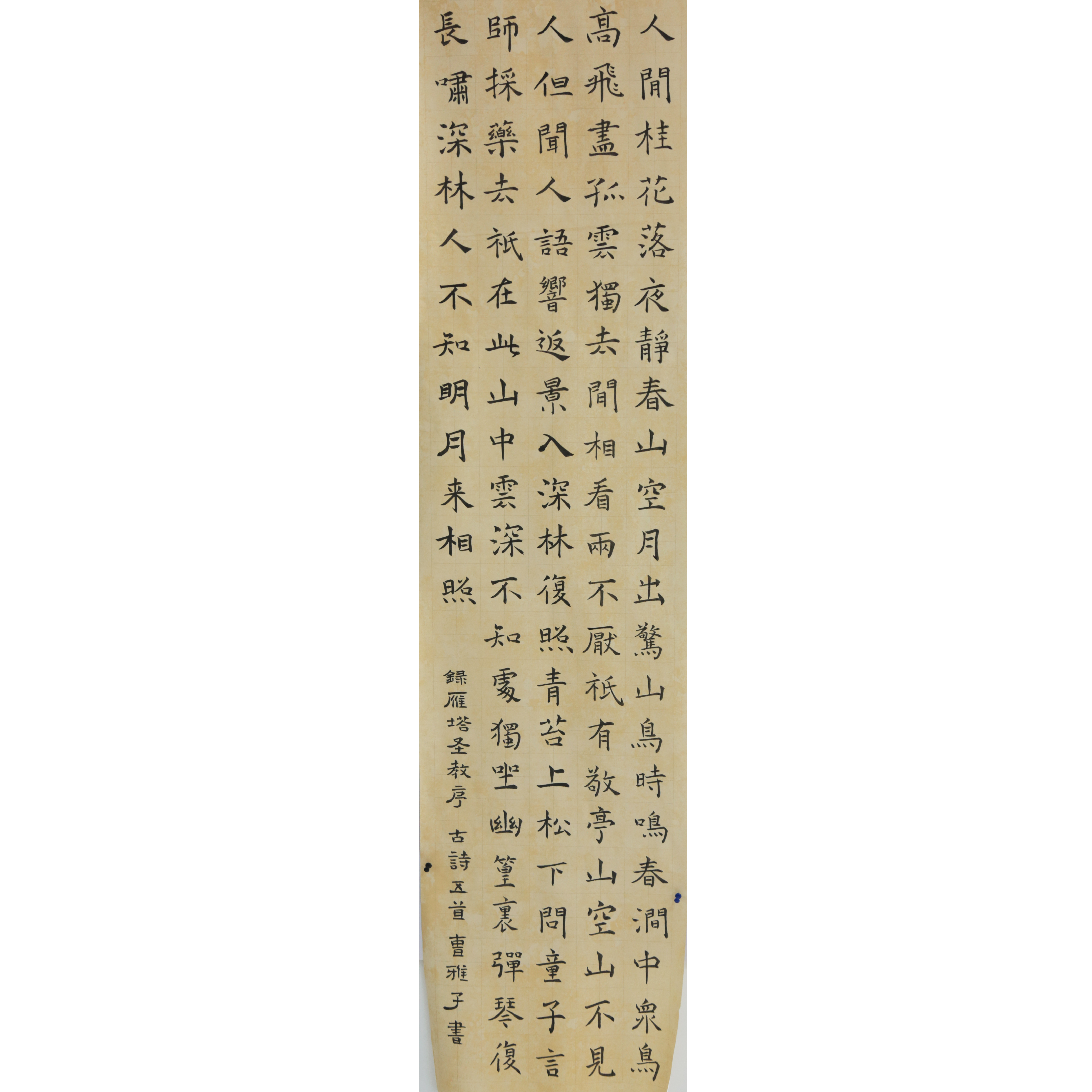 姓名：曹雅子