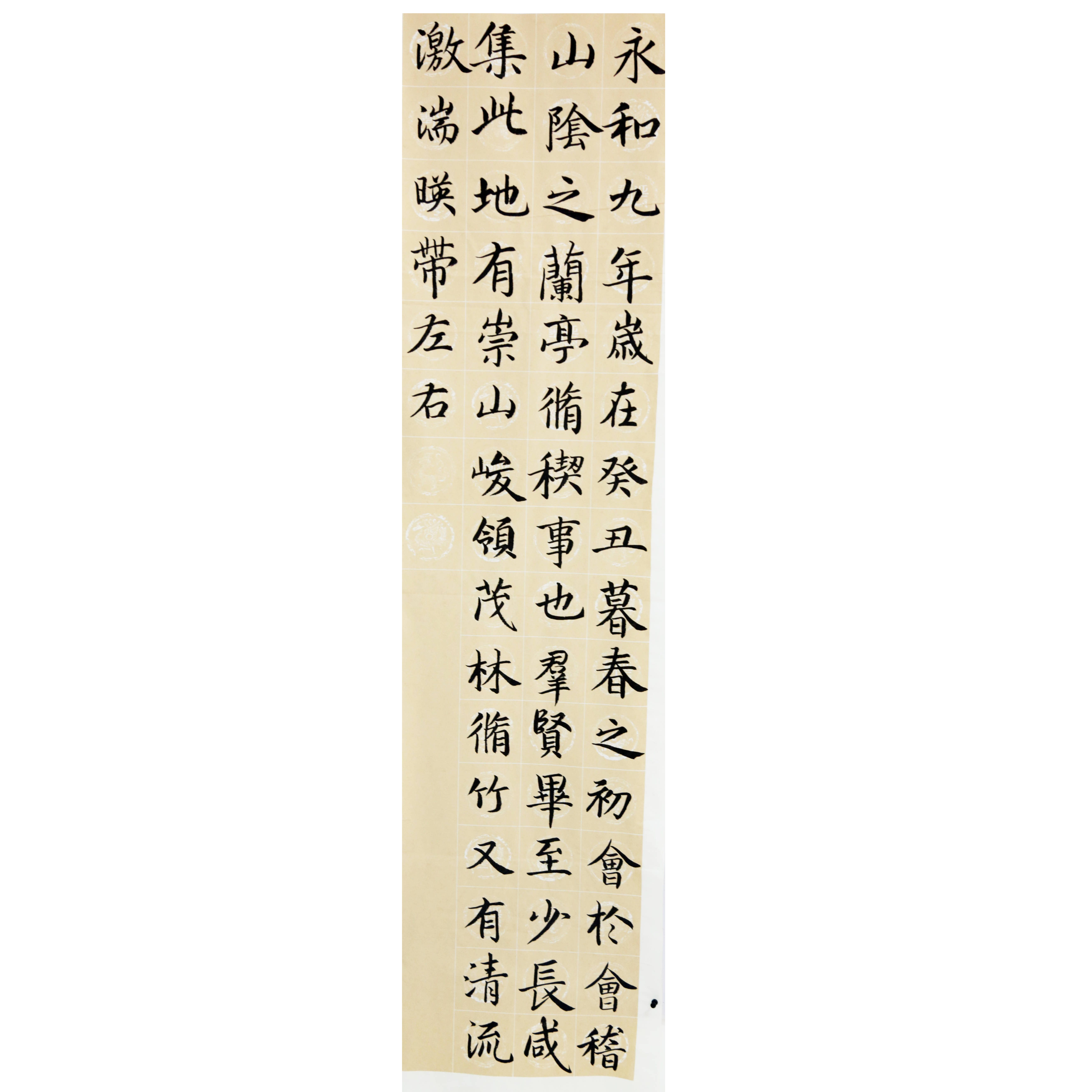 姓名：谢雨含