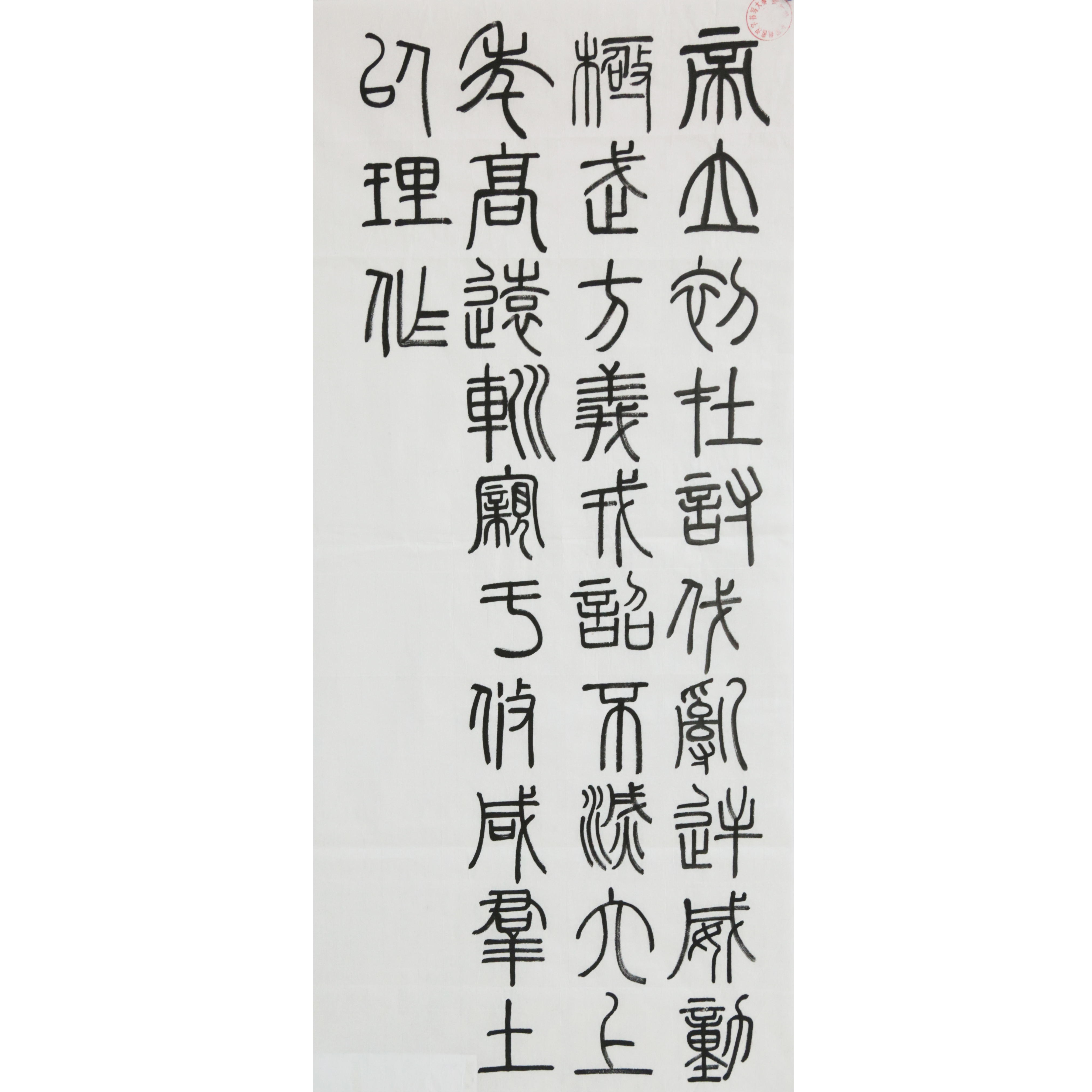 姓名：董书彤